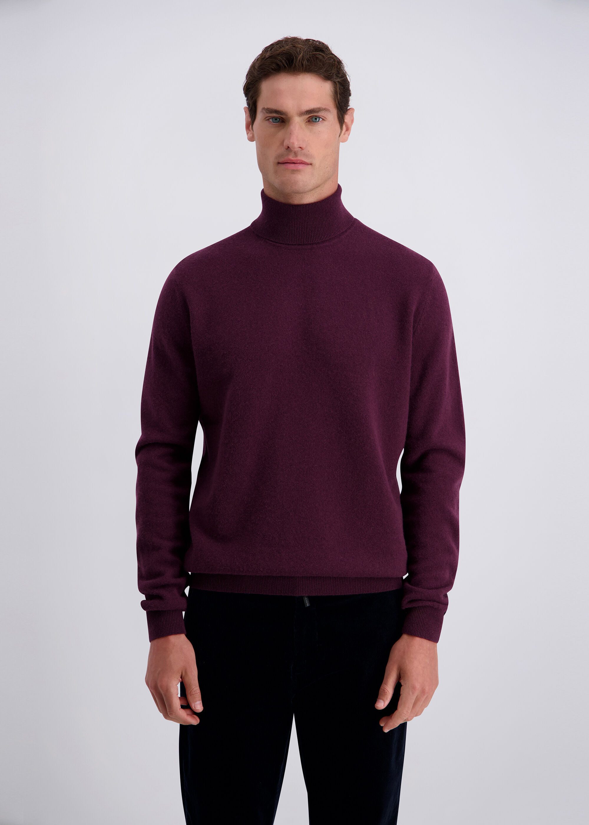 Pierre Cardin Rollkragenpullover in schlicht zeitlosem Design