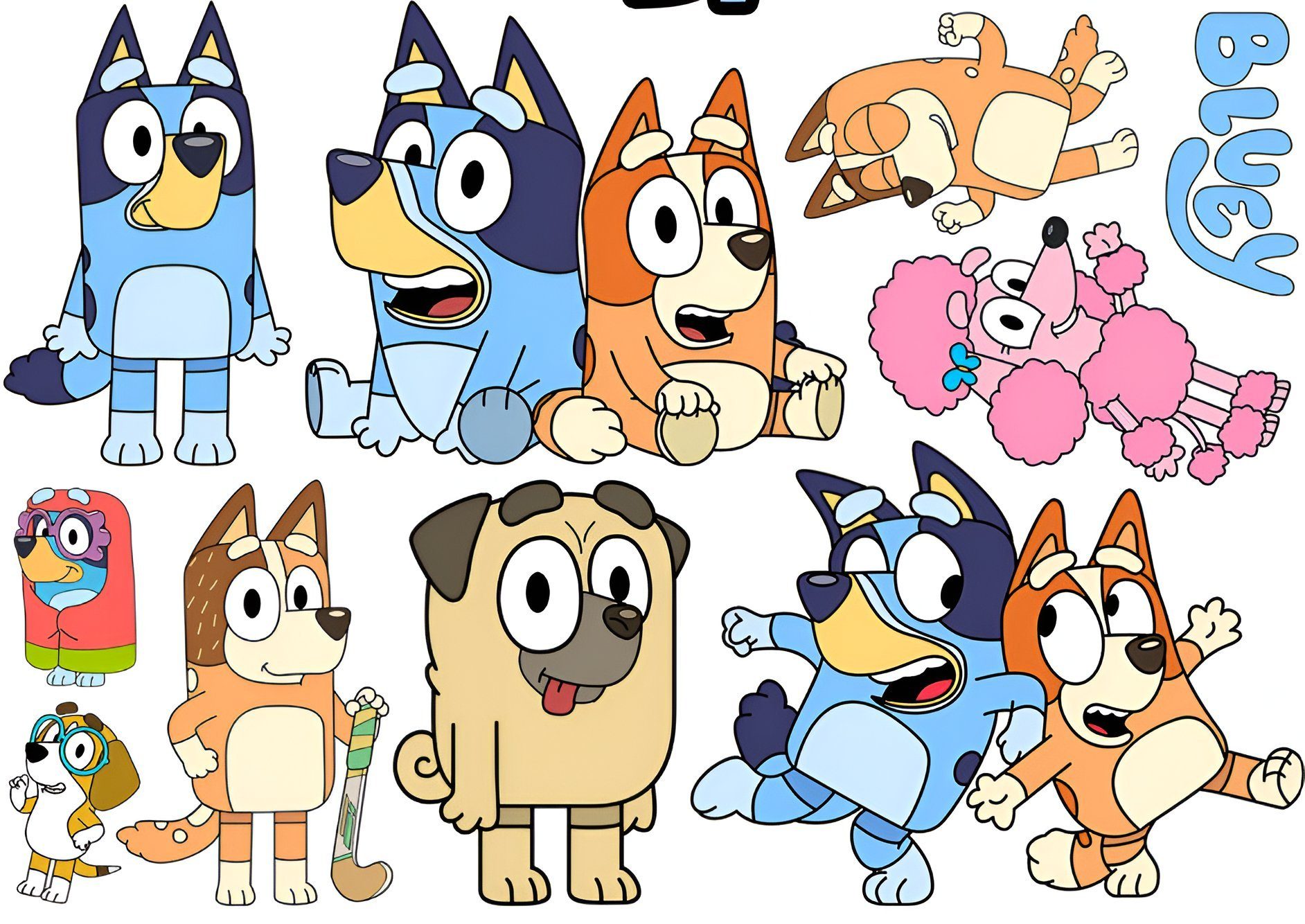 Kindertattoo BLUEY Kindertattoos Abwaschbar Party Geburtstag Wasserfest Tattoo