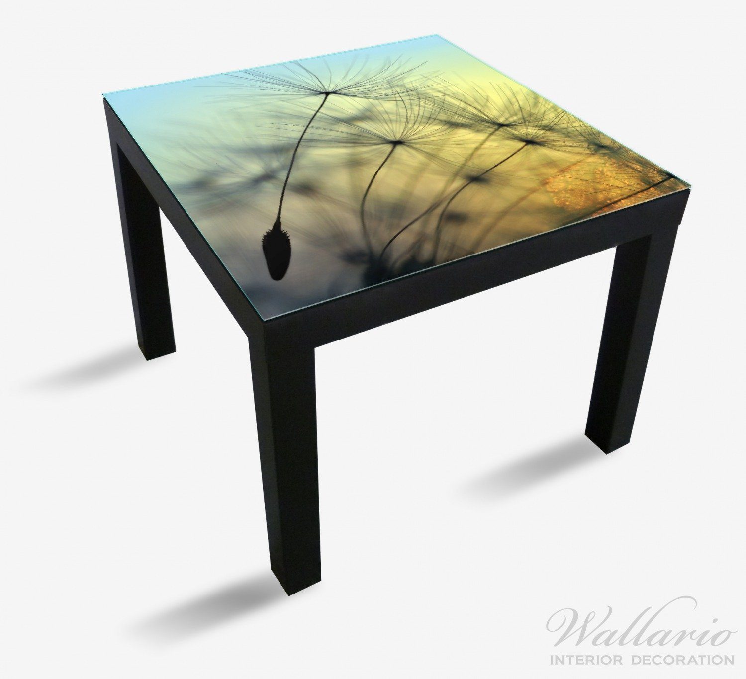 Wallario Tischplatte Lack St), Himmel Tisch Ikea geeignet Samen vor Nahaufnahme in Pusteblume (1 der für blauem