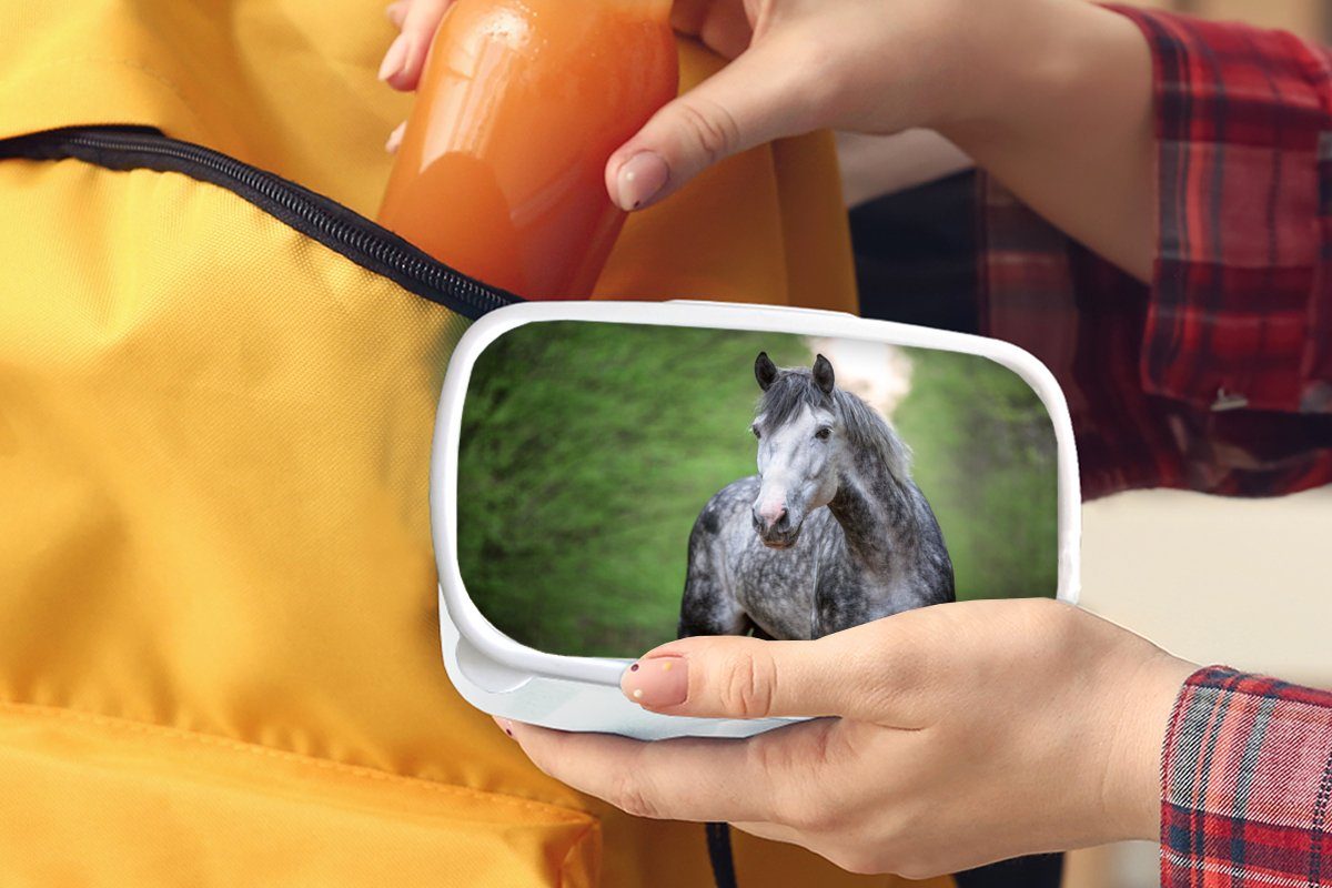 MuchoWow Lunchbox Pferd - Wald für für Erwachsene, Jungs (2-tlg), Mädchen Kinder Kunststoff, Brotbox Brotdose, weiß und und - Porträt