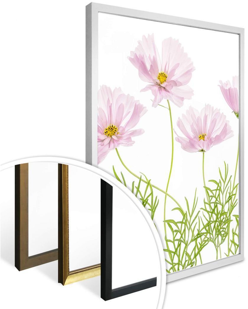 Wall-Art Poster Blumen (1 Sommerblume, St)