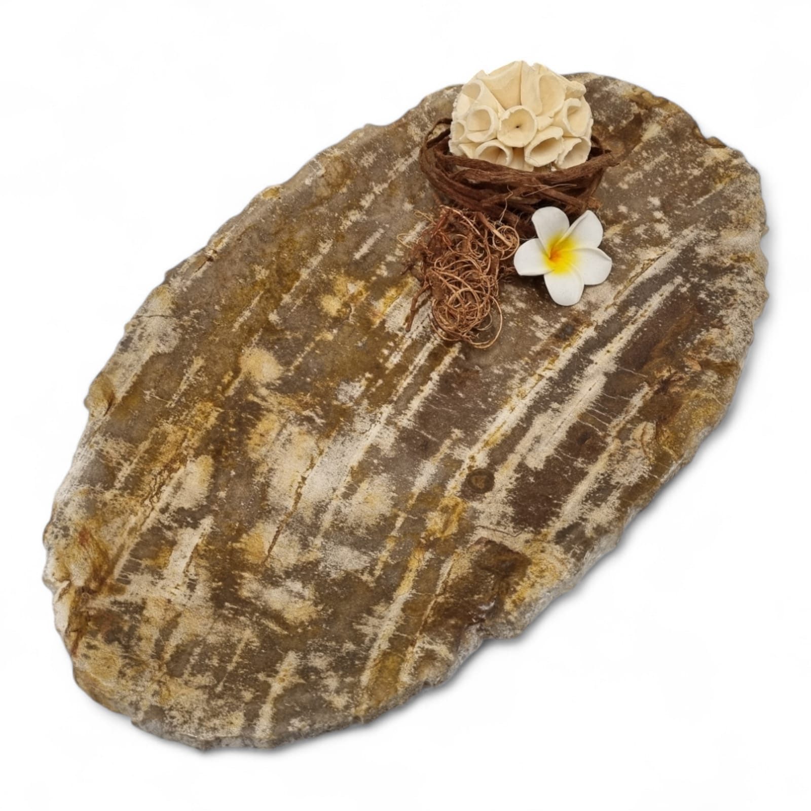 Kinaree Dekoschale Versteinertes Holz Deko Schale, Naturprodukt, poliert, Versteinertes Holz