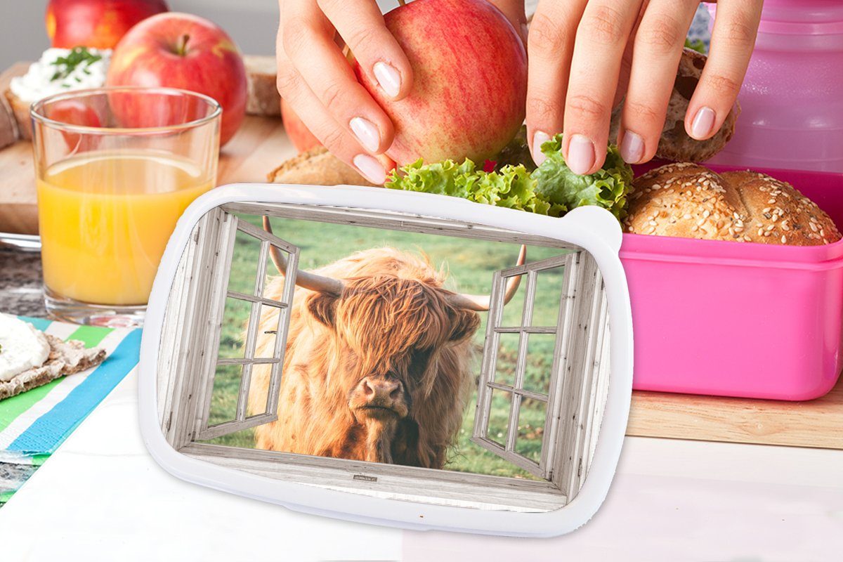 MuchoWow Lunchbox Schottischer Highlander - Brotbox rosa Snackbox, - Fenster Kunststoff Ansicht - Erwachsene, Brotdose Tier, Kunststoff, für Kinder, Mädchen, (2-tlg)