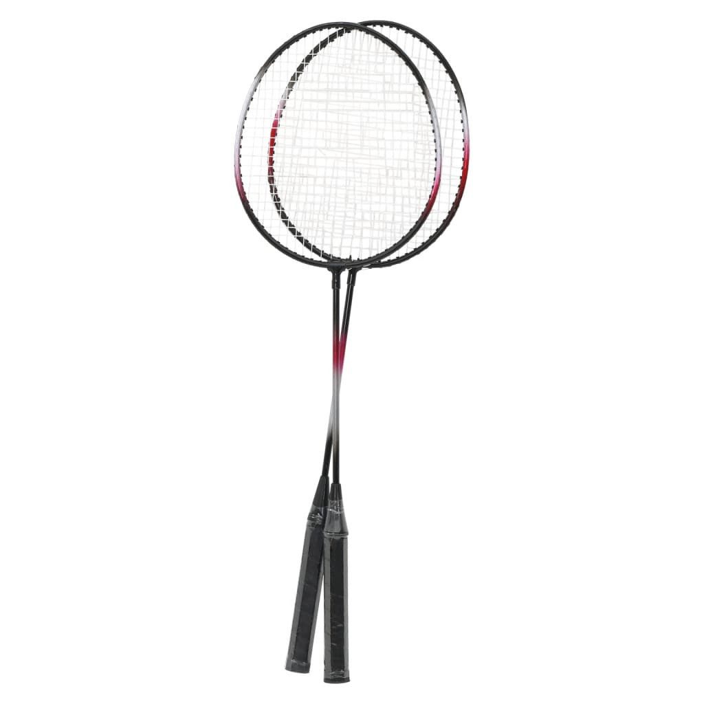 vidaXL Badmintonschläger Badminton-Set mit 2 Schlägern, Netz & Tasche 292x30x152 cm