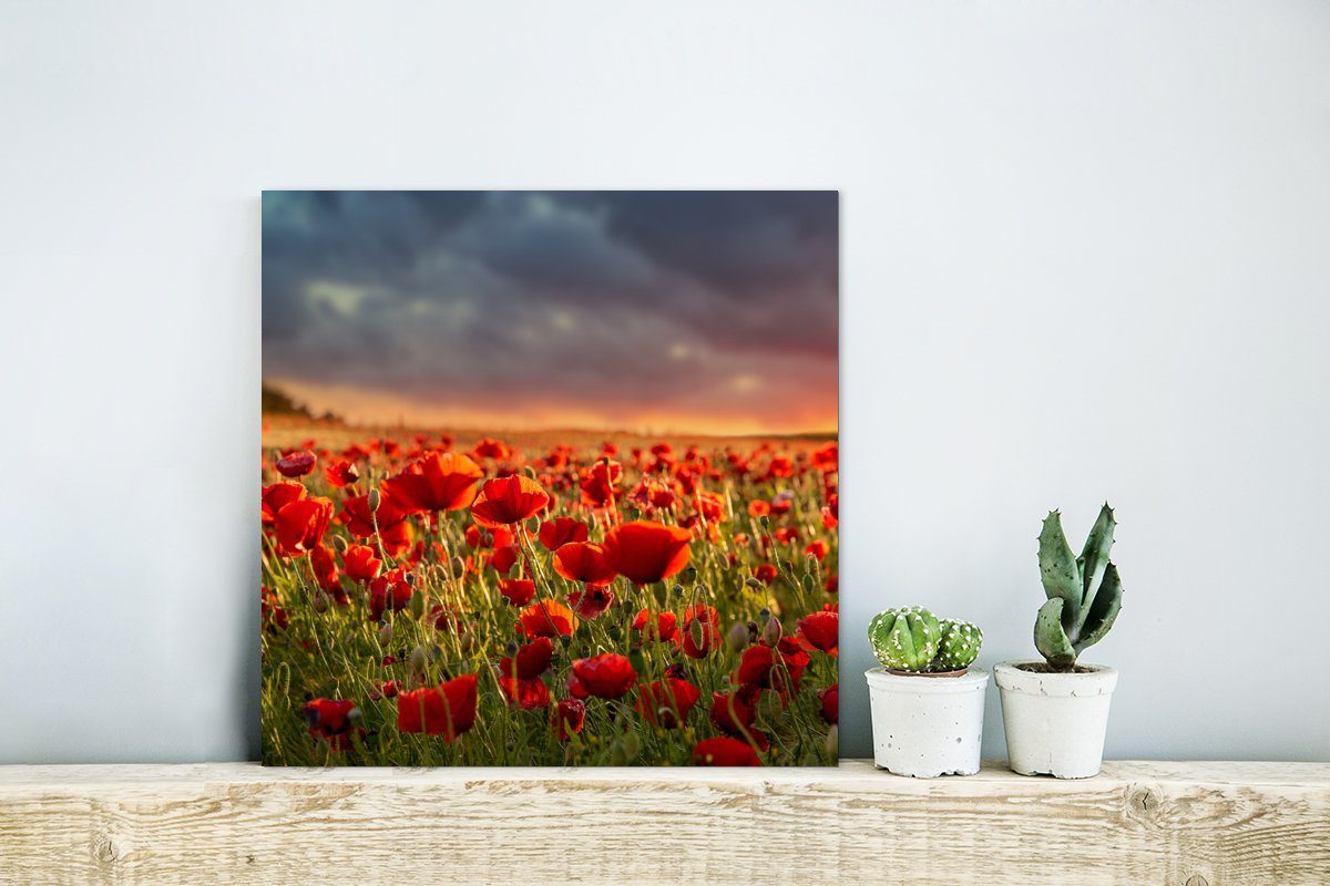 Gemälde - Sonnenuntergang (1 - MuchoWow Metall, Alu-Dibond-Druck, Mohnblumen Blumen - deko St), - - Metallbild Aluminium Natur, Feld aus Rot