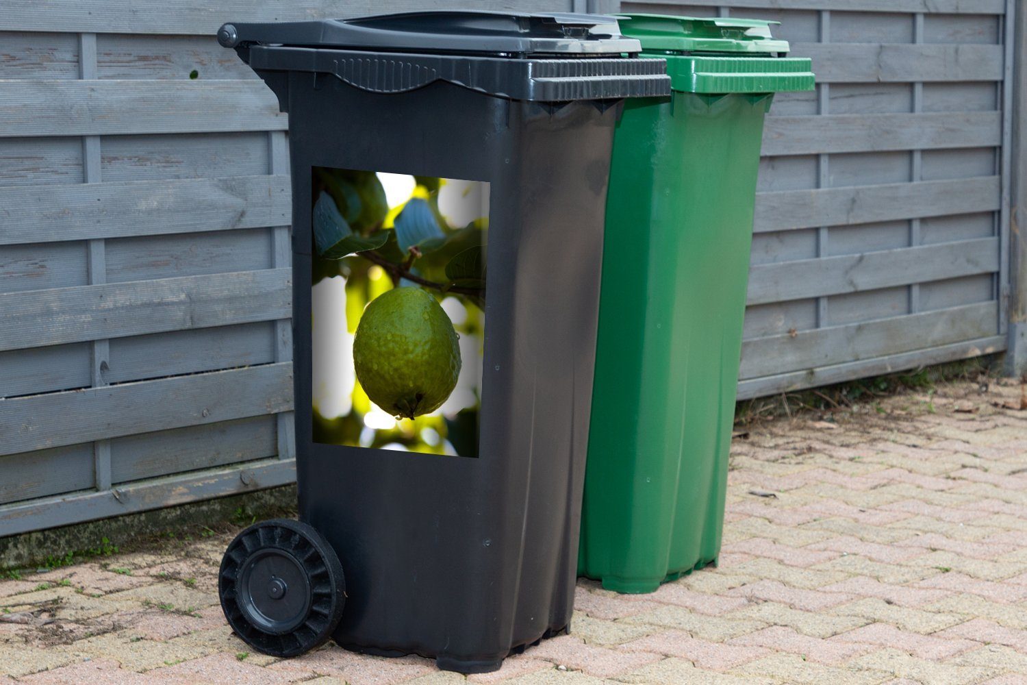 Mülltonne, einer St), Baum dahinter Wandsticker Container, MuchoWow Sticker, Sonnenlicht in einem Mülleimer-aufkleber, Nahaufnahme (1 Guavenfrucht mit Abfalbehälter