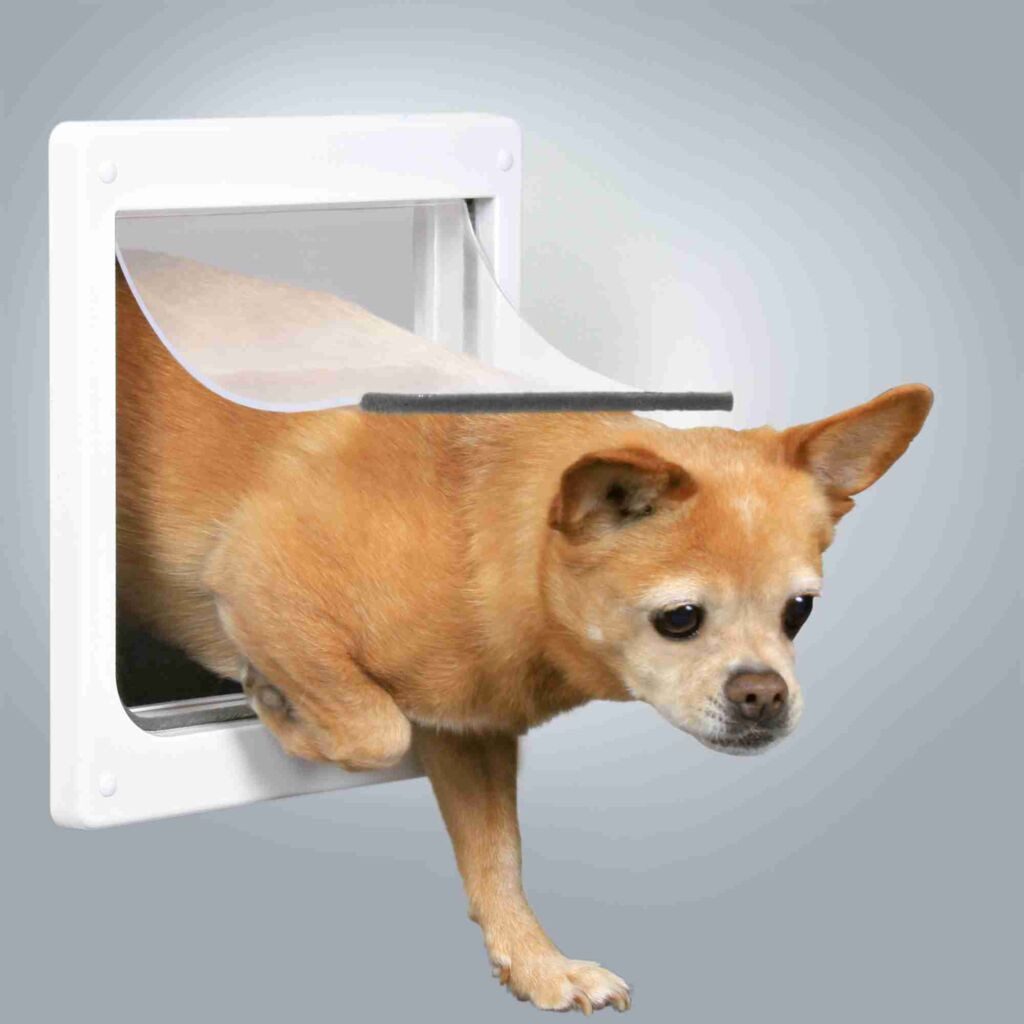 TRIXIE Hundeklappe 2-Wege Freilauftür XS–S - weiß - 27 × 28,5 cm