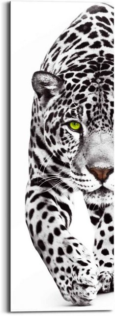 Reinders! Wandbild »Wandbild Leopard Kräftig - Panther - Raubtier - Gefleckt«, Leopard (1 Stück)-Otto