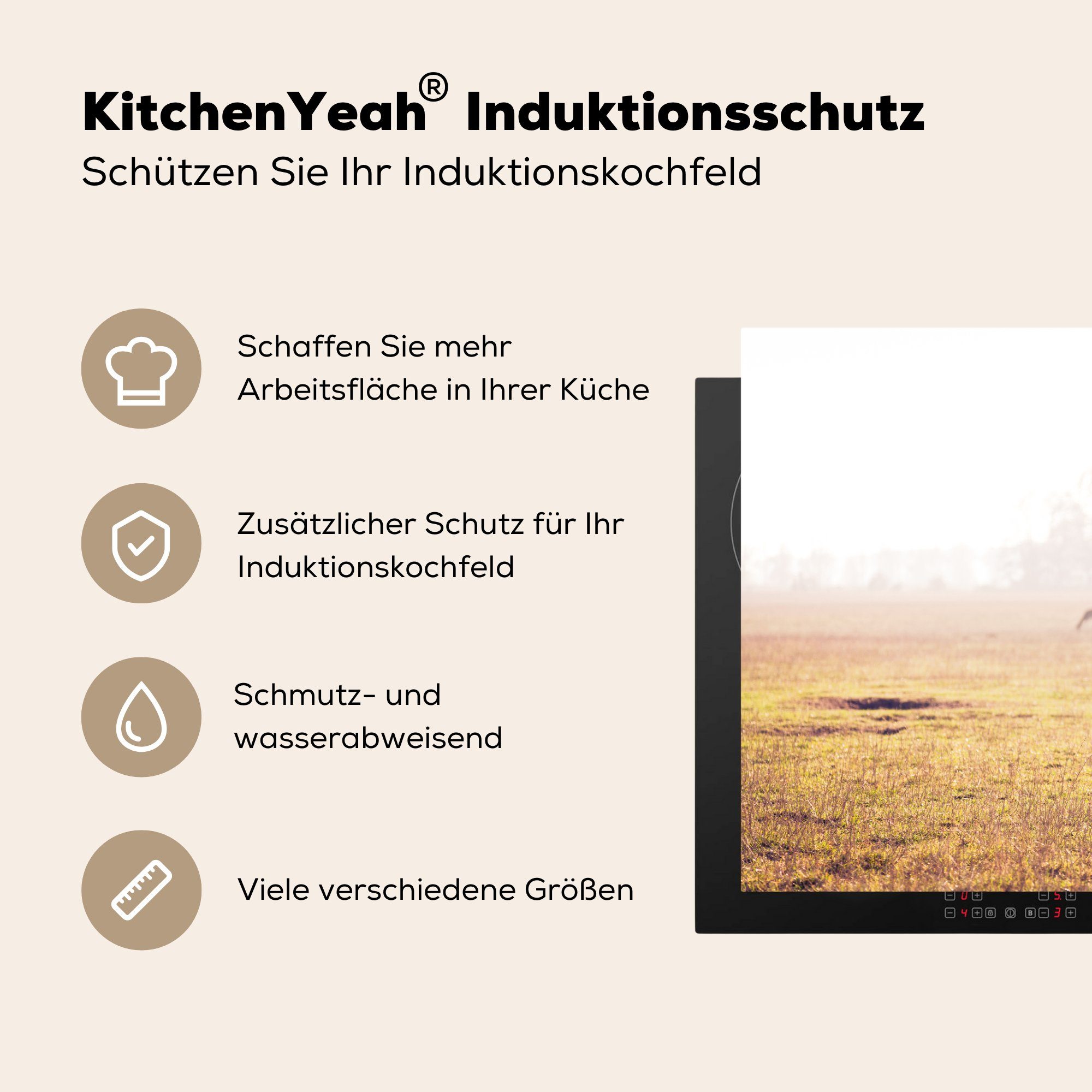 - cm, Gras, (1 Induktionskochfeld küche, Schutz - Herdblende-/Abdeckplatte für Ceranfeldabdeckung die Geweihe 81x52 Hirsche Vinyl, MuchoWow tlg),