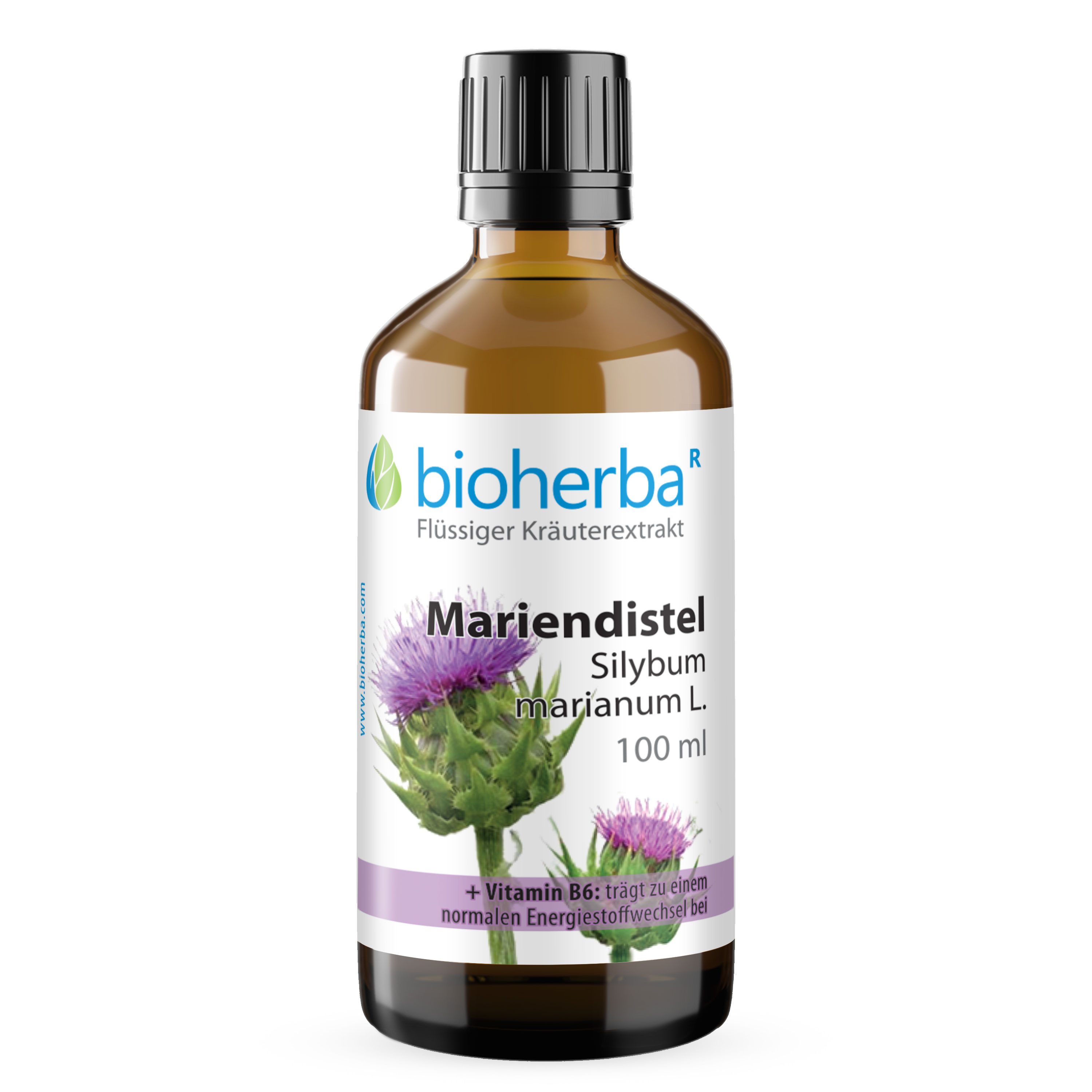 BIOHERBA R Bioherba Mariendistel Silybum marianum L. Tropfen Tinktur 100 ml Glasflasche, 1 er