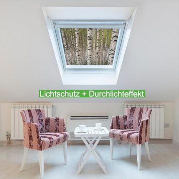 Sonnenschutz Birkenwald - Baumstämme in schwarz weiß, Wallario, blickdicht, mit Saugnäpfen, wiederablösbar und wiederverwendbar