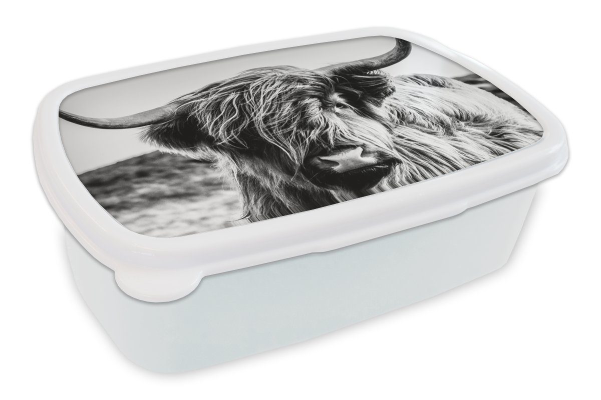 MuchoWow Lunchbox Kuh - Schottischer Hochländer - Schwarz - Weiß - Tier - Natur -, Kunststoff, (2-tlg), Brotbox für Kinder und Erwachsene, Brotdose, für Jungs und Mädchen