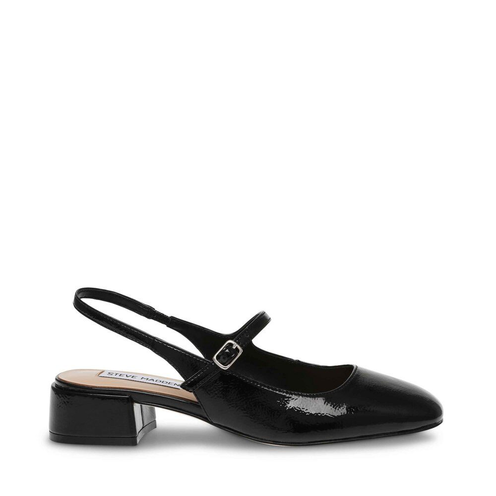 STEVE MADDEN Steve Madden - Pump - Schwarz Pumps