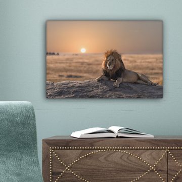OneMillionCanvasses® Leinwandbild Löwe - Sonne - Afrika, (1 St), Wandbild Leinwandbilder, Aufhängefertig, Wanddeko, 30x20 cm