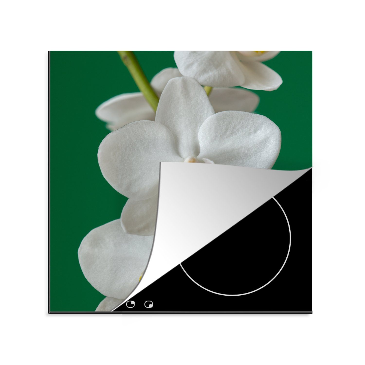 MuchoWow Herdblende-/Abdeckplatte Orchidee mit grünem Hintergrund, Vinyl, (1 tlg), 78x78 cm, Ceranfeldabdeckung, Arbeitsplatte für küche