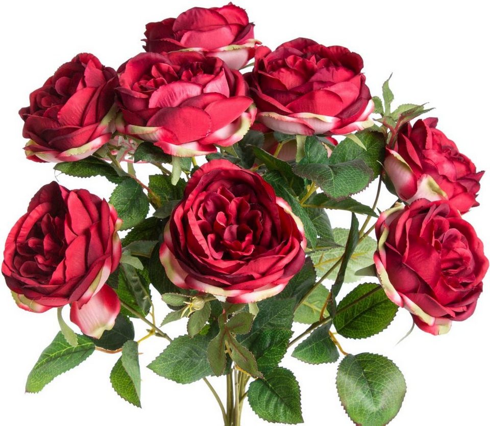 dunkle Räume Englischer Rose, Kunstblume Rosenbusch cm, Botanic-Haus, für 46 Höhe auch Ideal