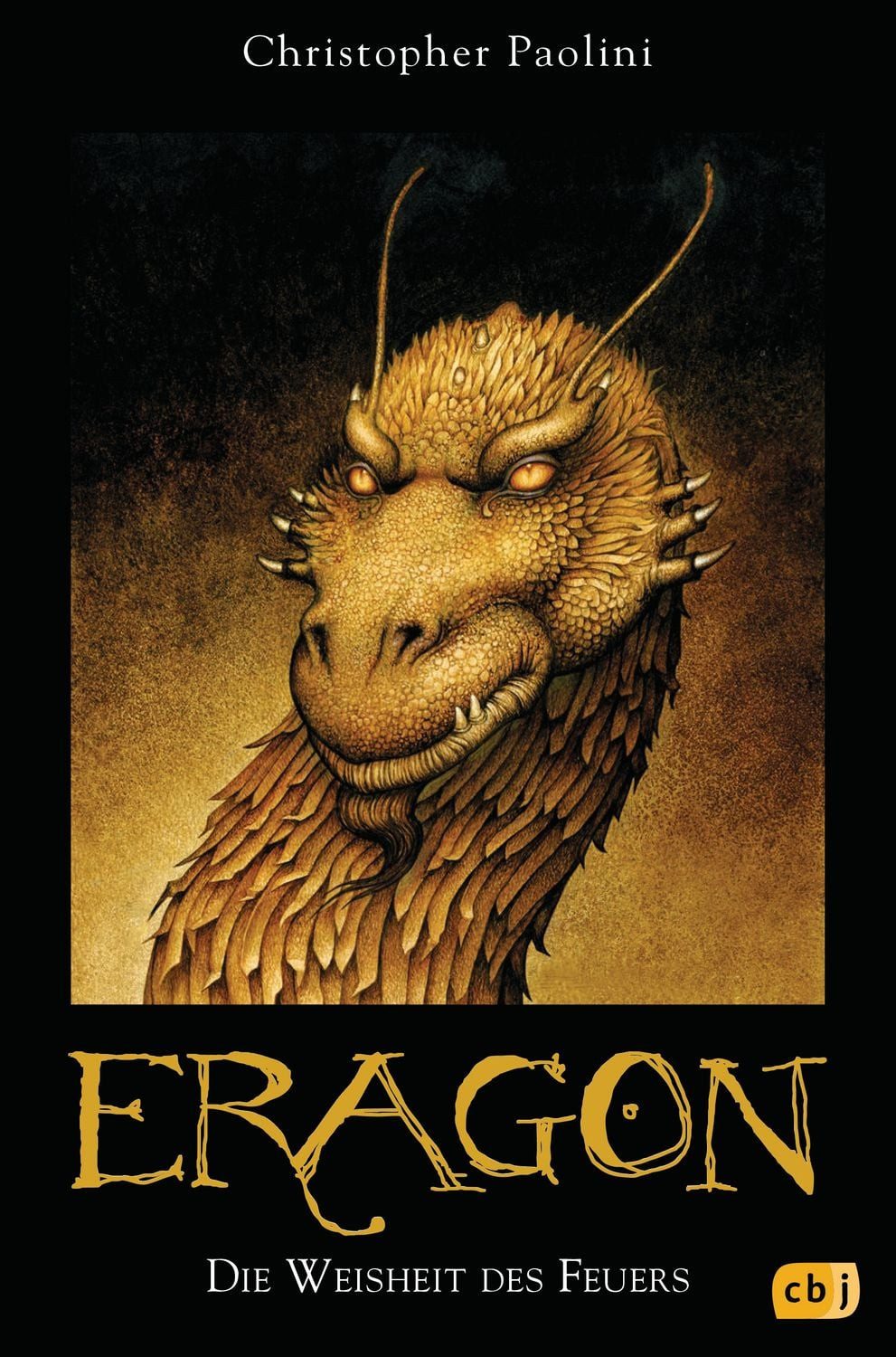 Jugendbuch Eragon 3 - Die Weisheit des Feuers Der dritte Band der Weltbestseller- Christopher Paolini