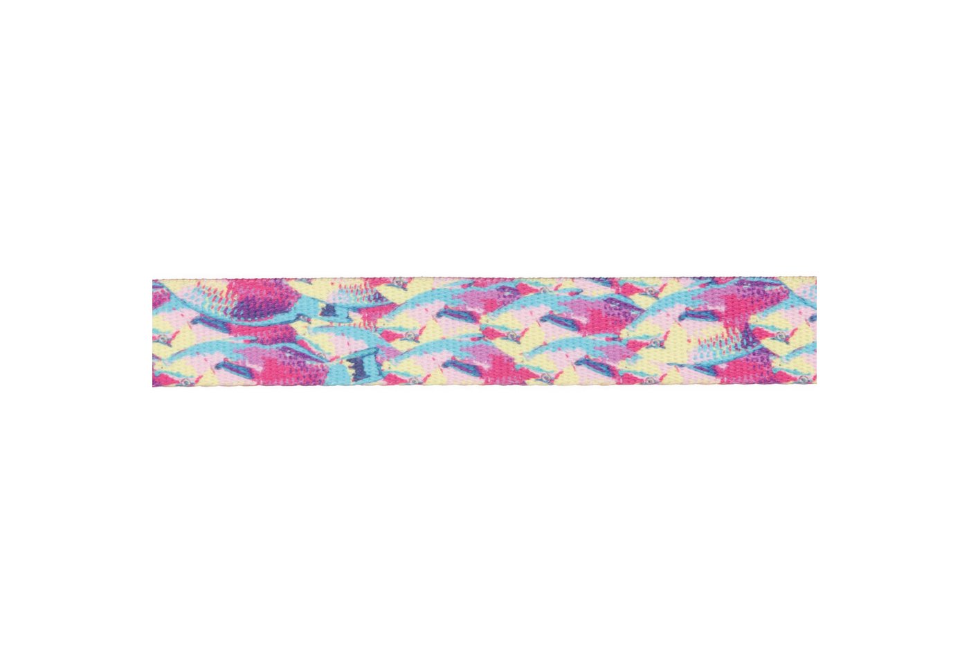 Thumbnail - Ruffwear Hunde-Halsband FRONT RANGE™ Collar 25451-989, 100% Polyester Tubelok™ Schlauchband (16% recycled), Halsband für...