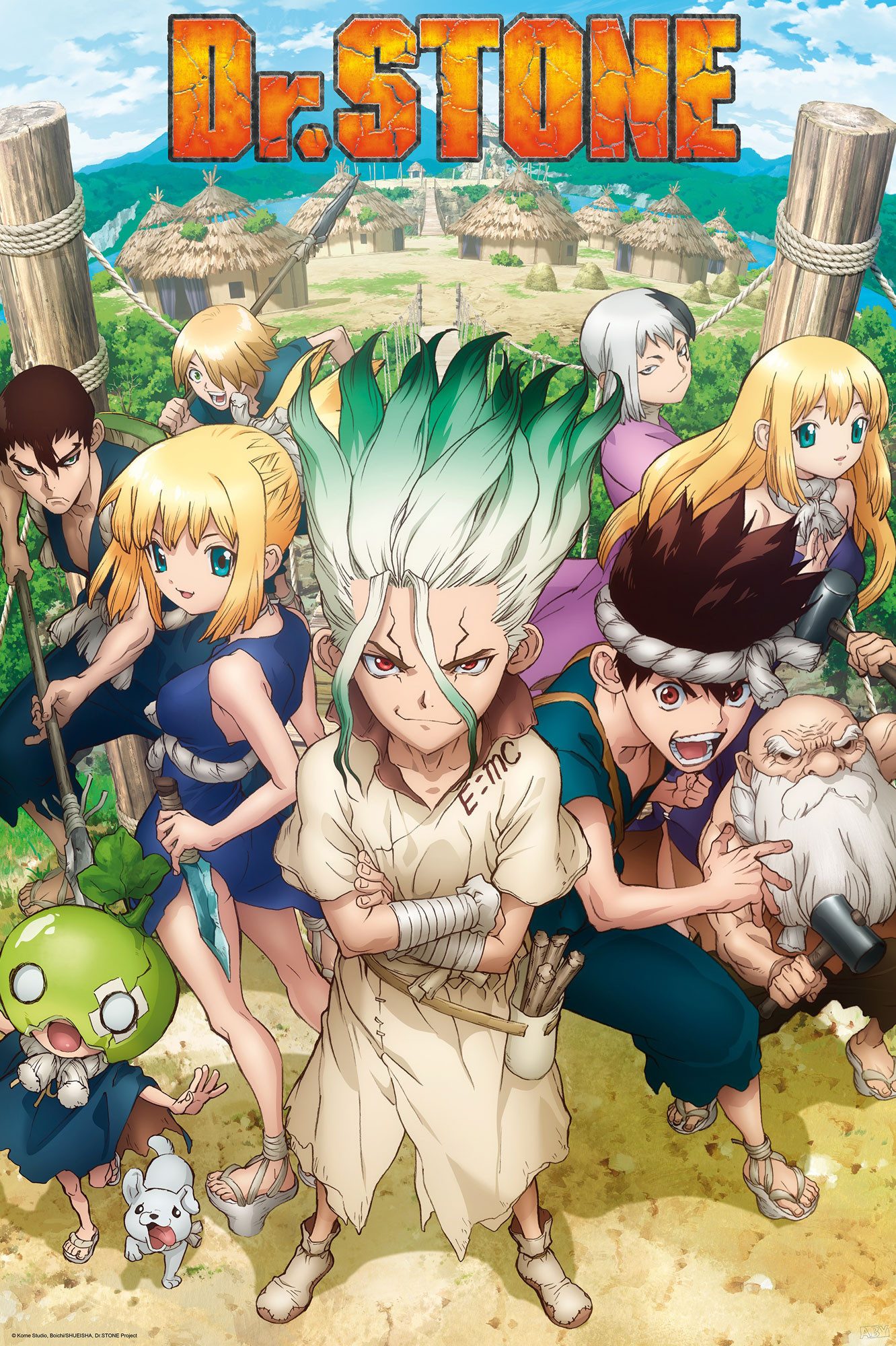 Poster Dr. Stone - Плакат - Group