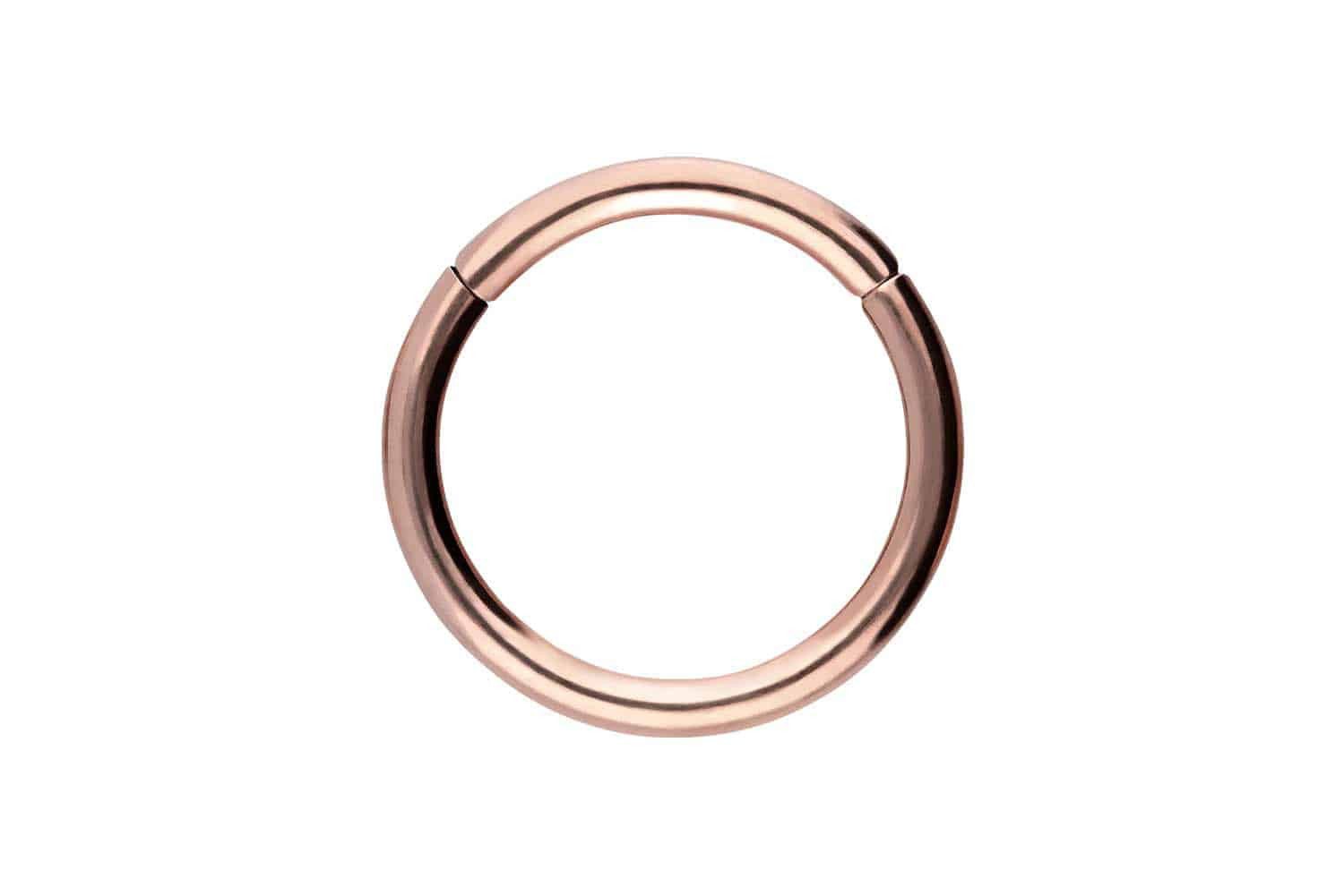 PIERCINGLINE Nasenpiercing Titan Segmentring Clicker Ohrpiercing günstig online kaufen