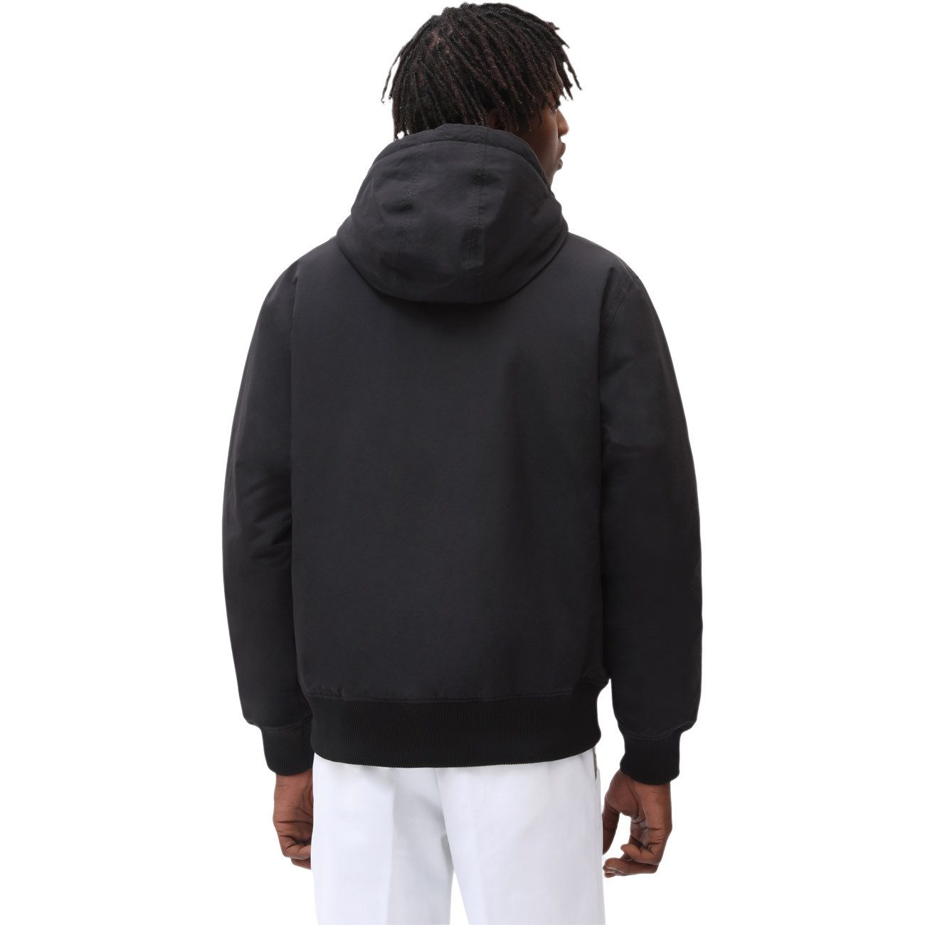 Dickies Winterjacke NEW SARPY JACKET NEW günstig online kaufen