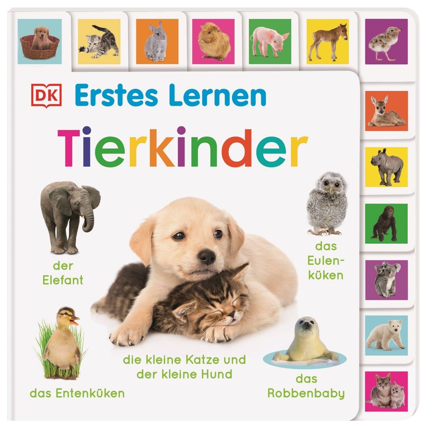 Erstes Lernen. Tierkinder / DK Erstes Lernen