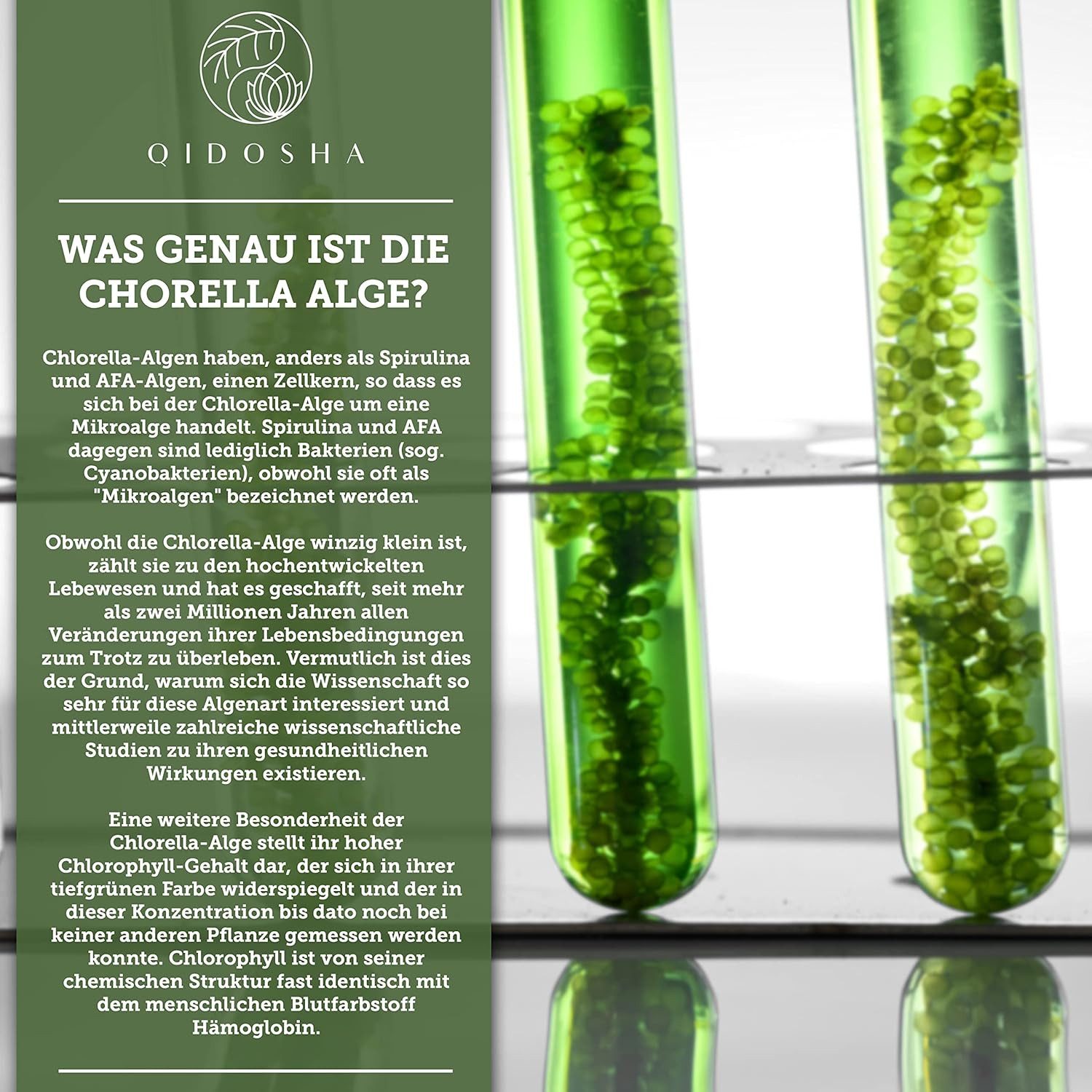 QIDOSHA Bio Chlorella Presslinge Kapseln, 600 St., 300 g, Aufgebrochene Zellwände