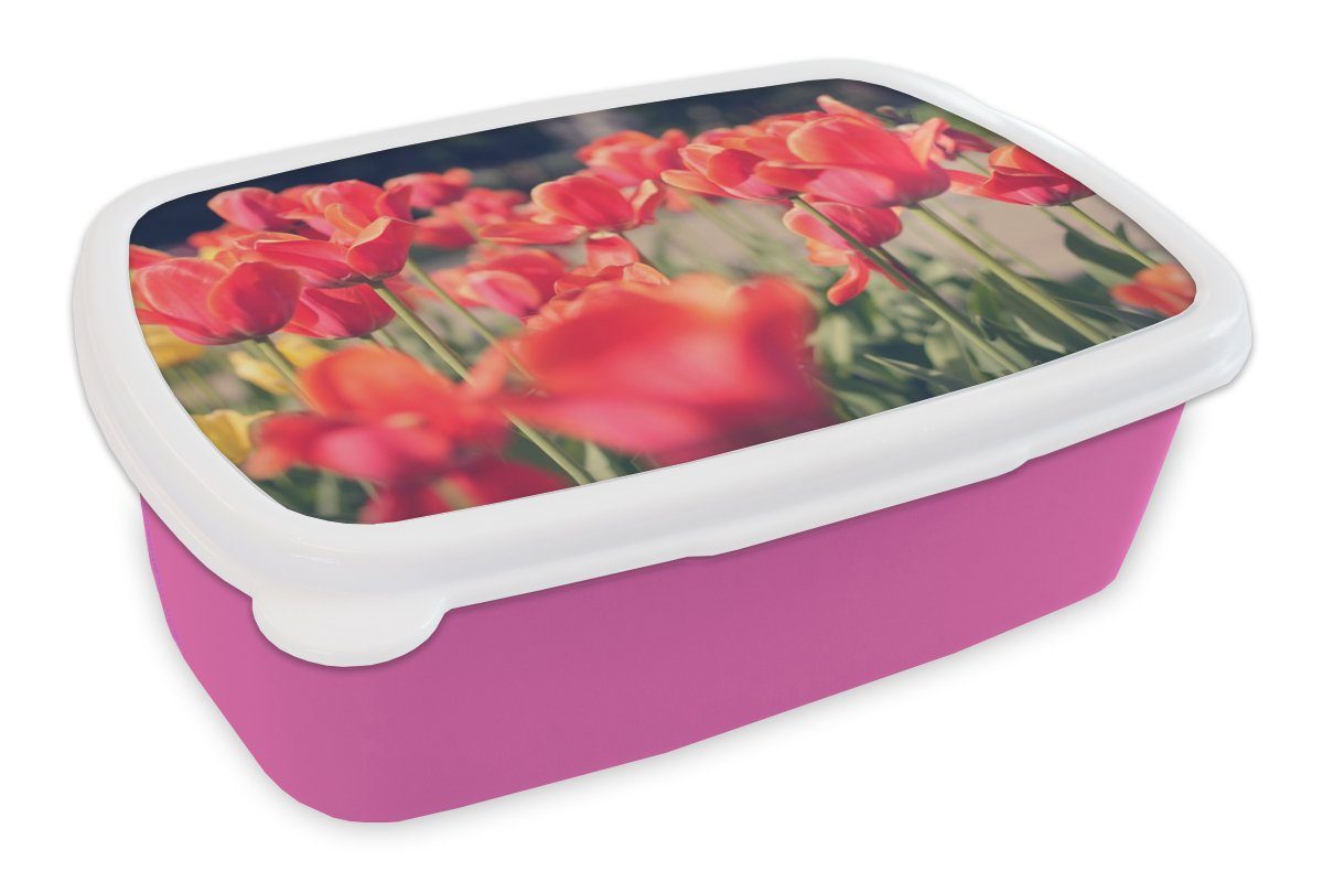 MuchoWow Lunchbox Tulpen - Blumen - Natur, Kunststoff, (2-tlg), Brotbox für Erwachsene, Brotdose Kinder, Snackbox, Mädchen, Kunststoff rosa