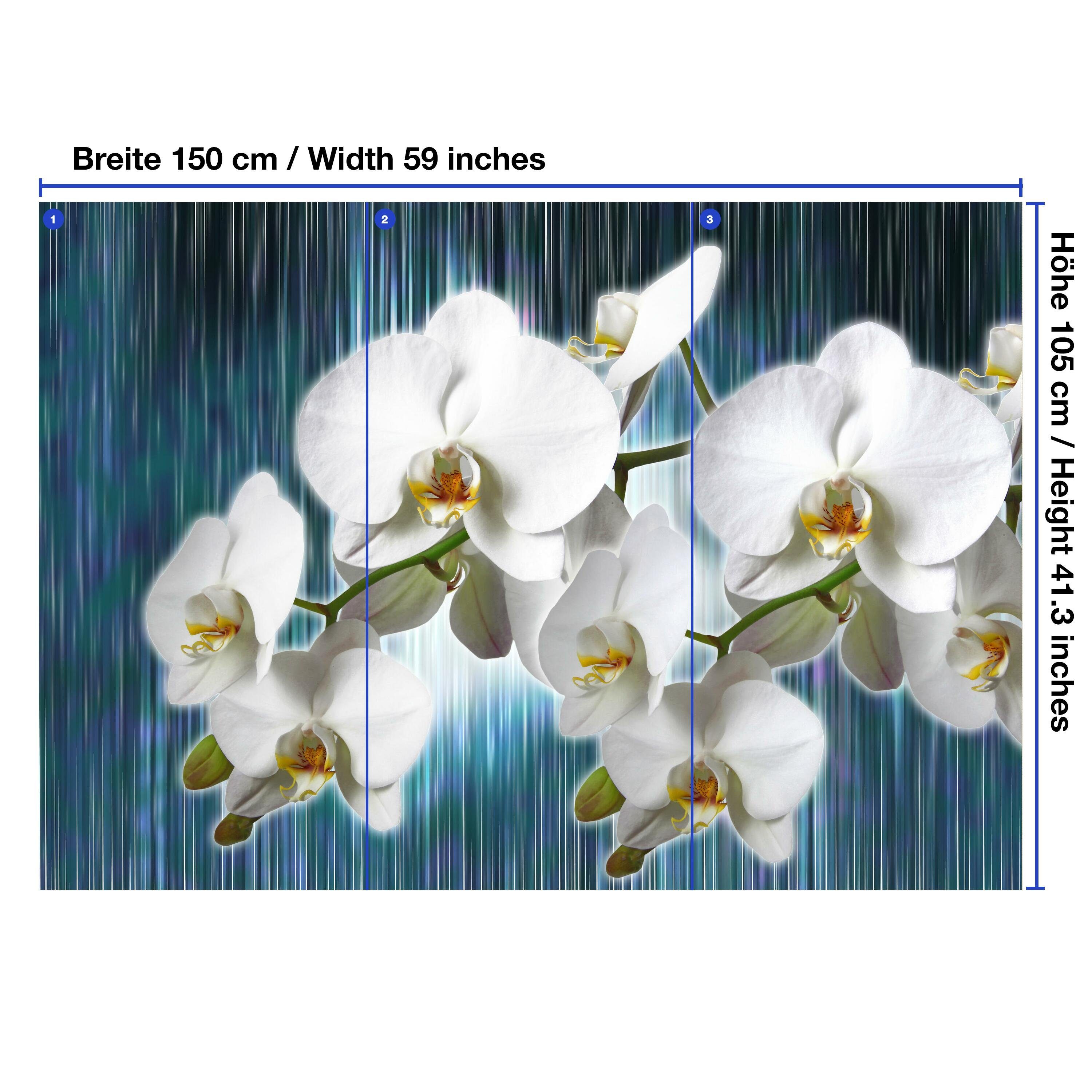 glatt, Blüten, Motivtapete, Vliestapete Orchideenzweig Fototapete wandmotiv24 Orchideen Wandtapete, matt,