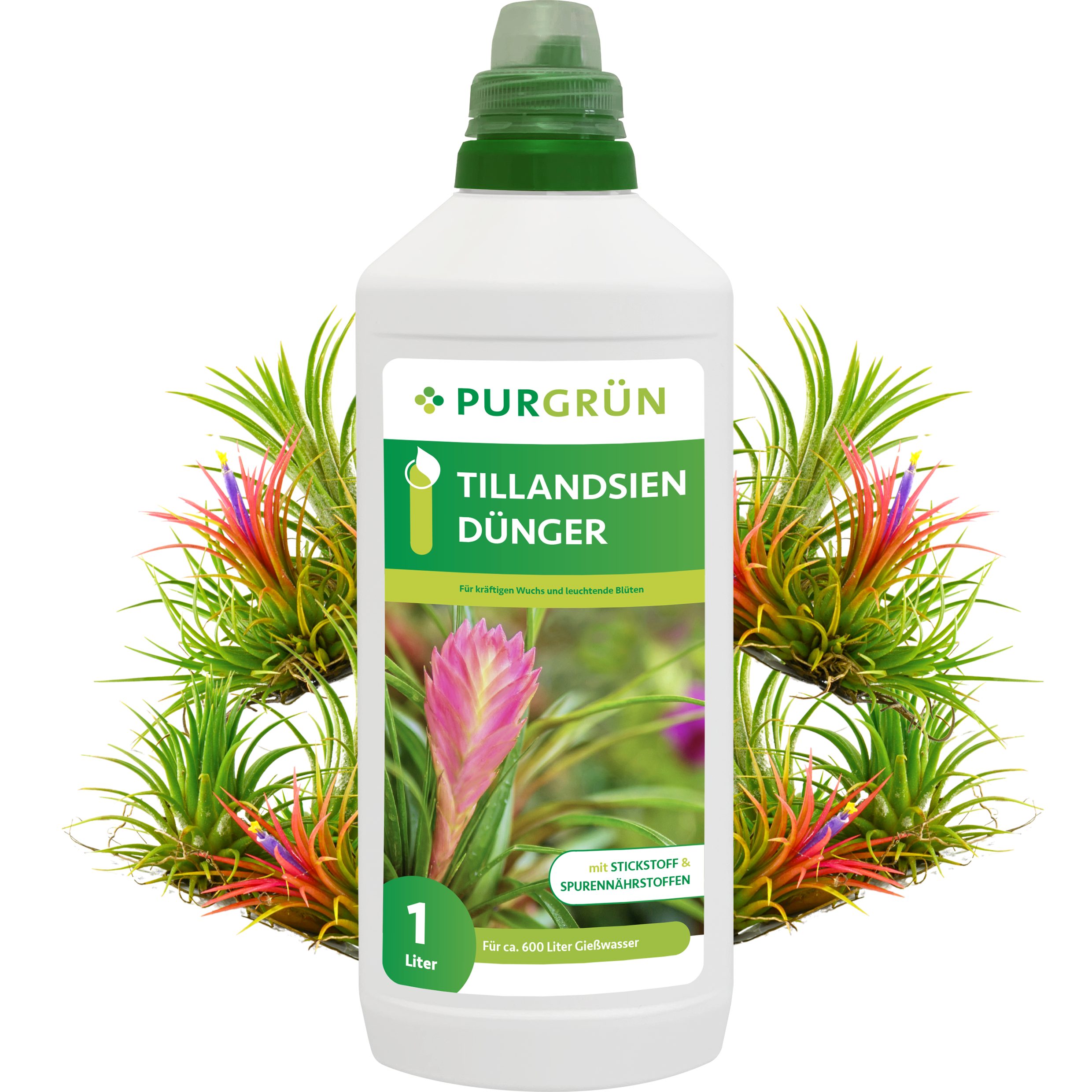 Purgrün Universaldünger Purgrün Tillandsien Dünger, NPK günstig online kaufen