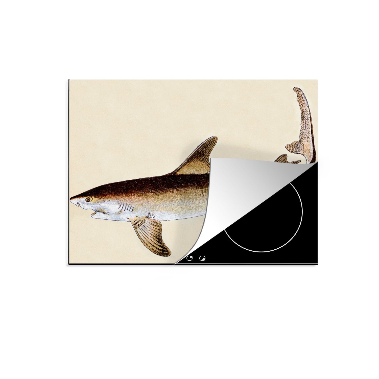 MuchoWow Herdblende-/Abdeckplatte Eine Illustration des Weißen Hais, Vinyl, (1 tlg), 70x52 cm, Mobile Arbeitsfläche nutzbar, Ceranfeldabdeckung