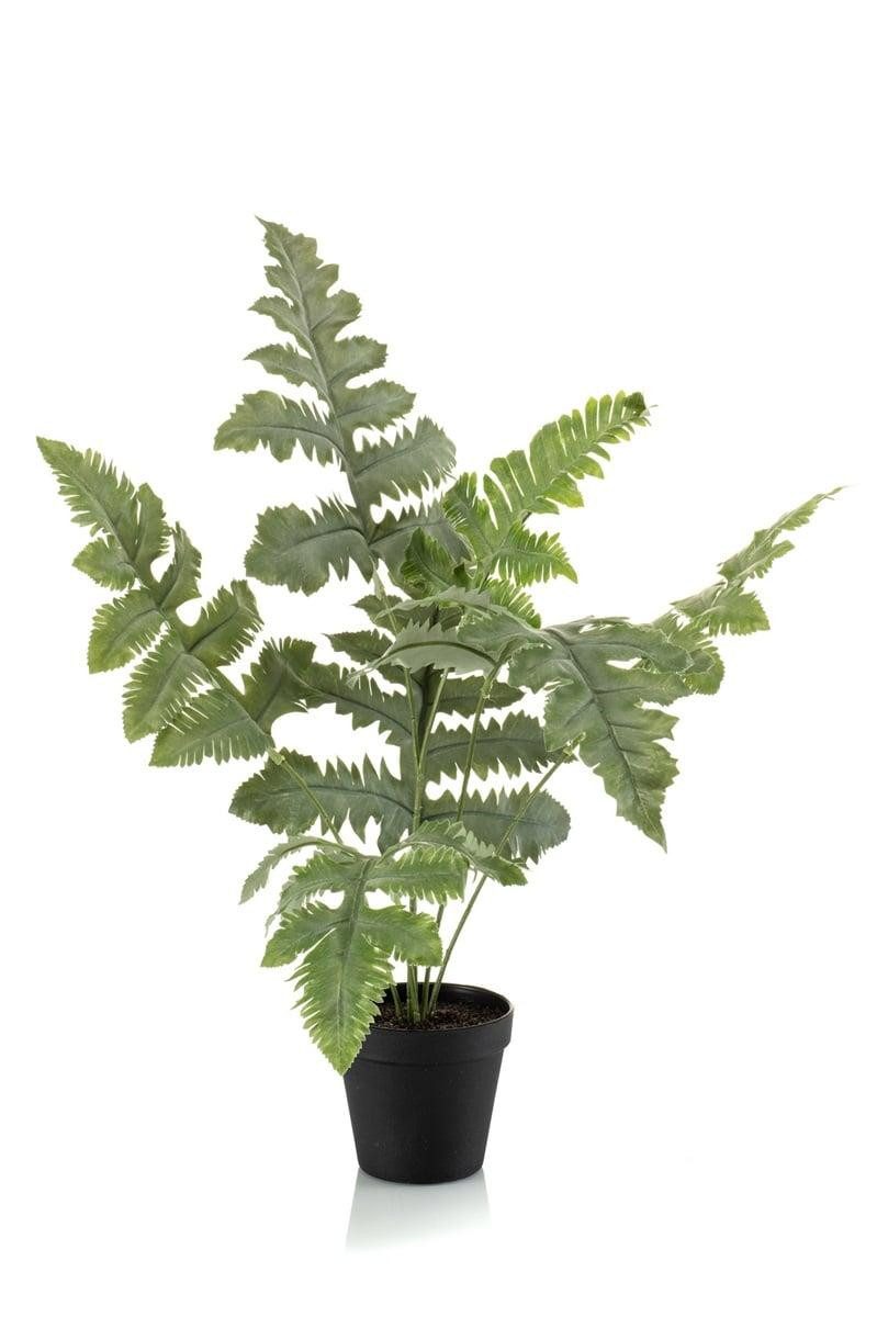 Künstliche Zimmerpflanze Künstlicher Goldtüpfelfarn SCORPI im Dekotopf, grün, 60cm Farn (Goldtüpfelfarn), artplants, Höhe 60.0 cm