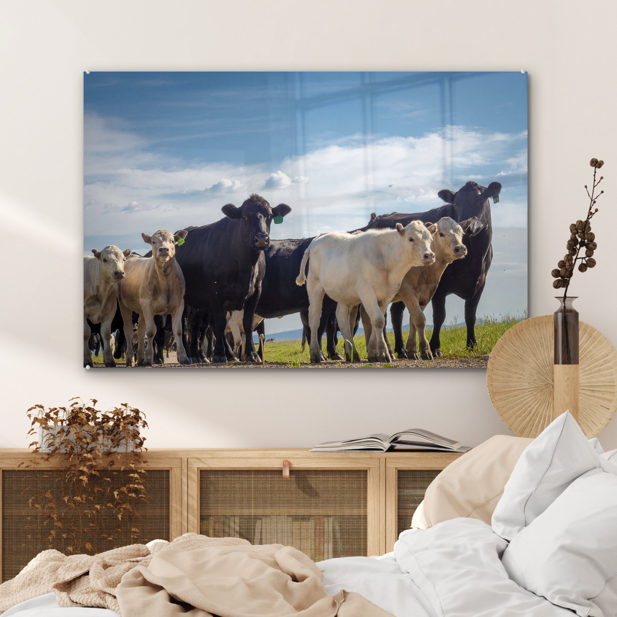 Acrylglasbilder Luft, Acrylglasbild & Wohnzimmer Kuh - St), Schlafzimmer MuchoWow - (1 Tiere