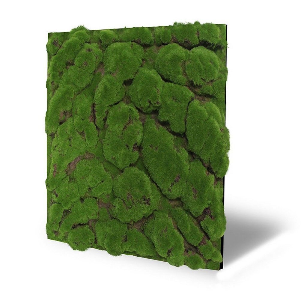 JANGAL Wandpaneel Wandpaneel Jangal Modular Wall günstig online kaufen