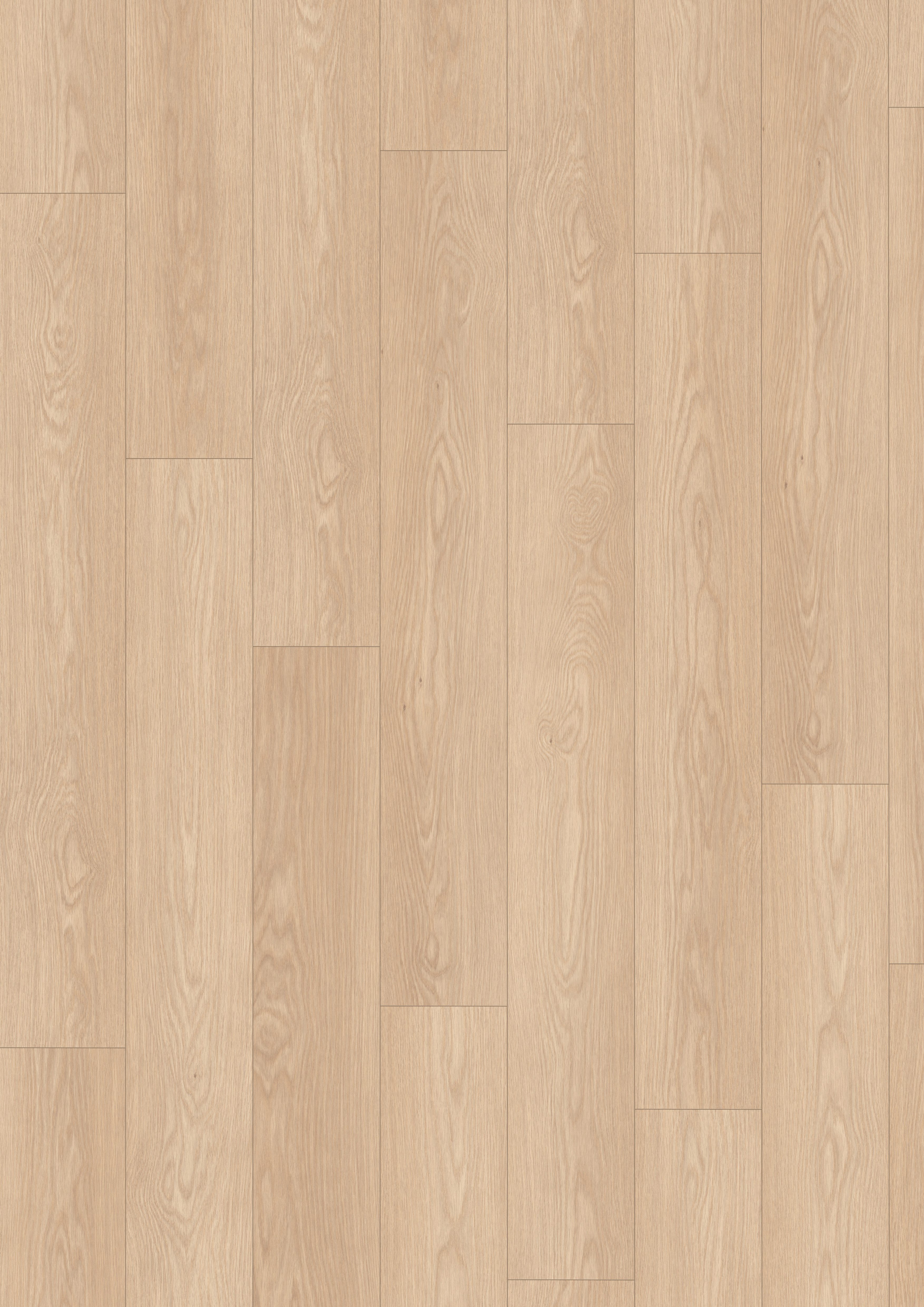 EGGER Laminat Promo NL2133 Baronia Eiche sand, (8mm, 1,995qm), Praktisch & Pflegeleicht