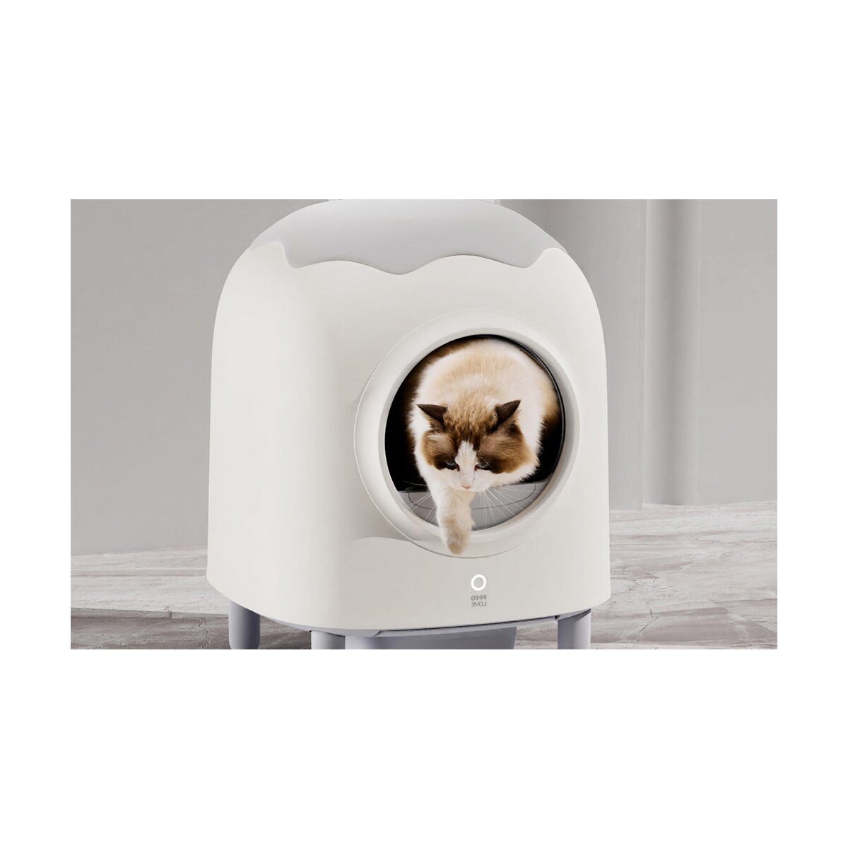 HHOLove Katzentoilette HHOLove iPet Smart Katzentoilette selbstreinigend & App