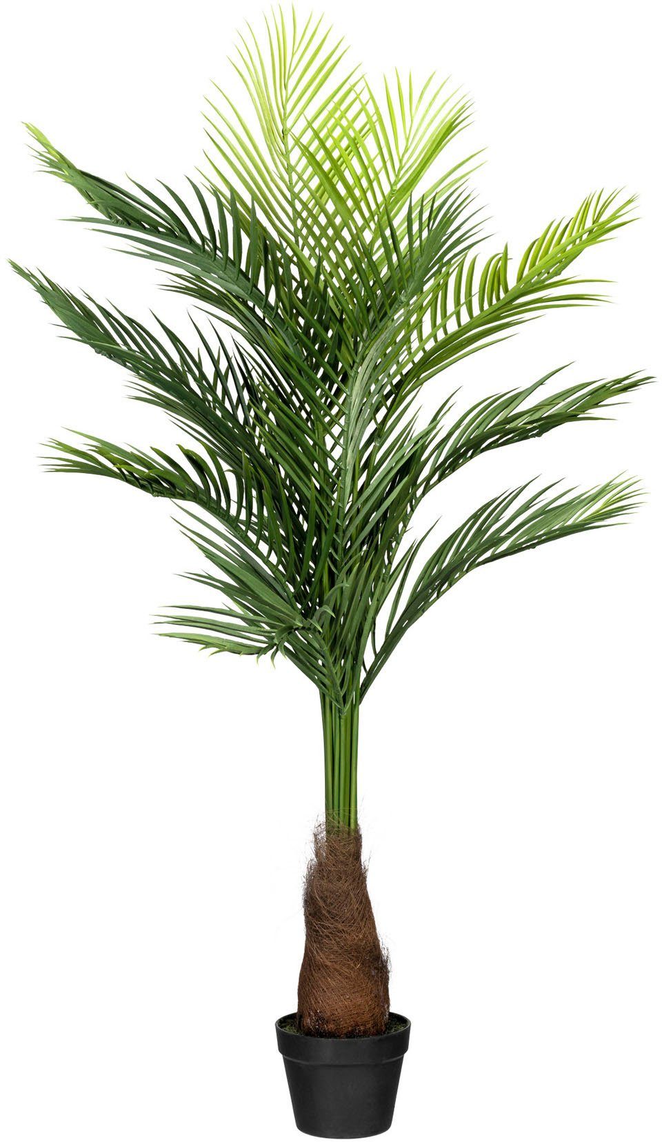 Kunstpalme Goldfruchtpalme Goldfruchtpalme, Creativ green, Höhe günstig online kaufen