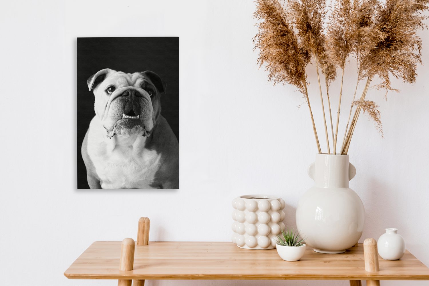 Bulldogge St), Gemälde, schwarz inkl. - fertig 20x30 weiß, (1 einer und Porträt Englischen Leinwandbild cm Zackenaufhänger, bespannt OneMillionCanvasses® Leinwandbild