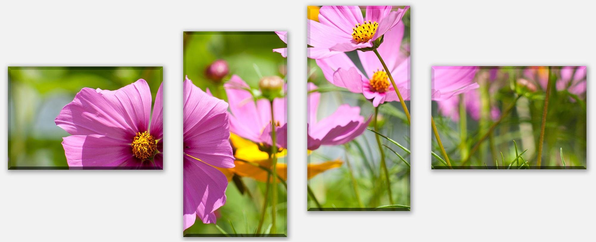 wandmotiv24 Mehrteilige Bilder Schöne Frühlingsblumen, Blumen und Pflanzen (Set, 4 St), Wandbild, Wanddeko, Leinwandbilder in versch. Größen