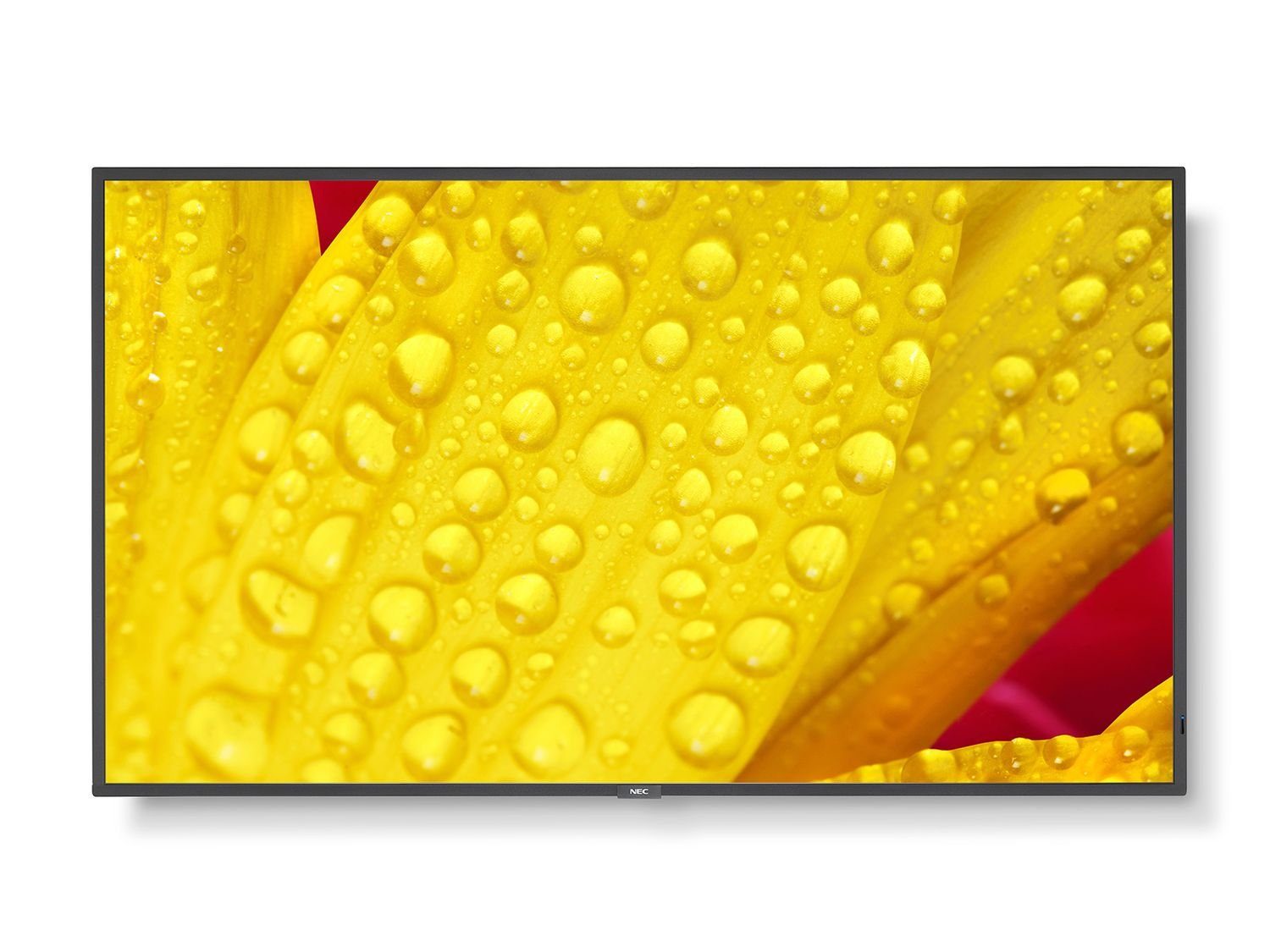 NEC ME431 LED-Monitor (108 cm/43 ", 3840 x 2160 px, 8 ms Reaktionszeit, IPS, 16:9, schwarz)