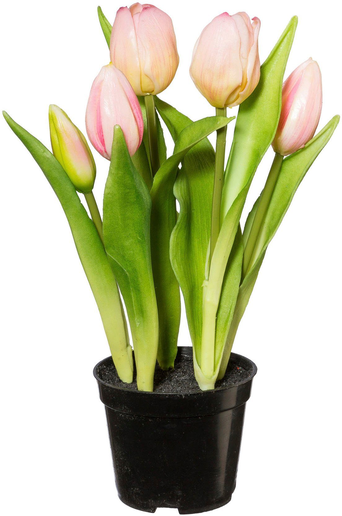 Kunsttulpe Gefüllte Tulpen Tulpe, vielseitig pflegeleicht home, und verwendbar Langlebig, my Höhe 25 cm