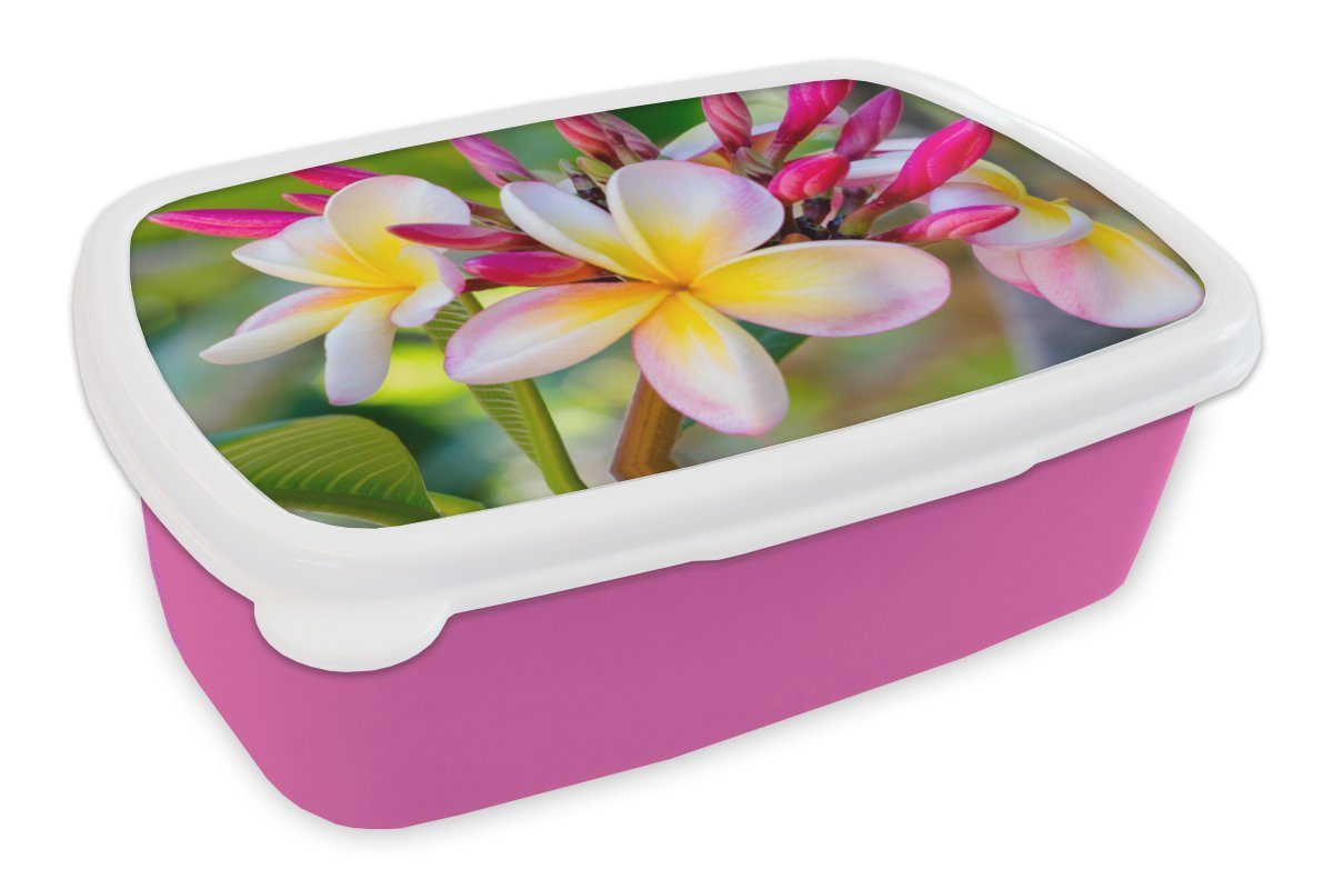 Farben, für Brotdose Kunststoff, Mädchen, - Kinder, Snackbox, Kunststoff MuchoWow Lunchbox Plumeria Blumen - (2-tlg), rosa Brotbox Erwachsene,