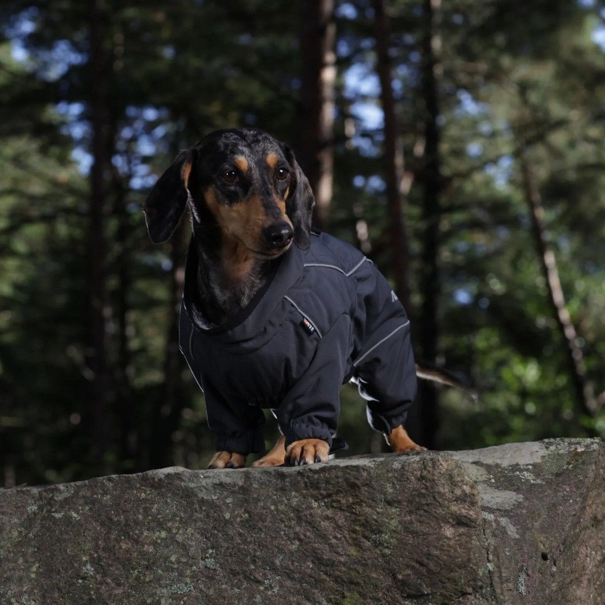 Rukka Hundeoverall Thermo-Overall kurze Beine schwarz