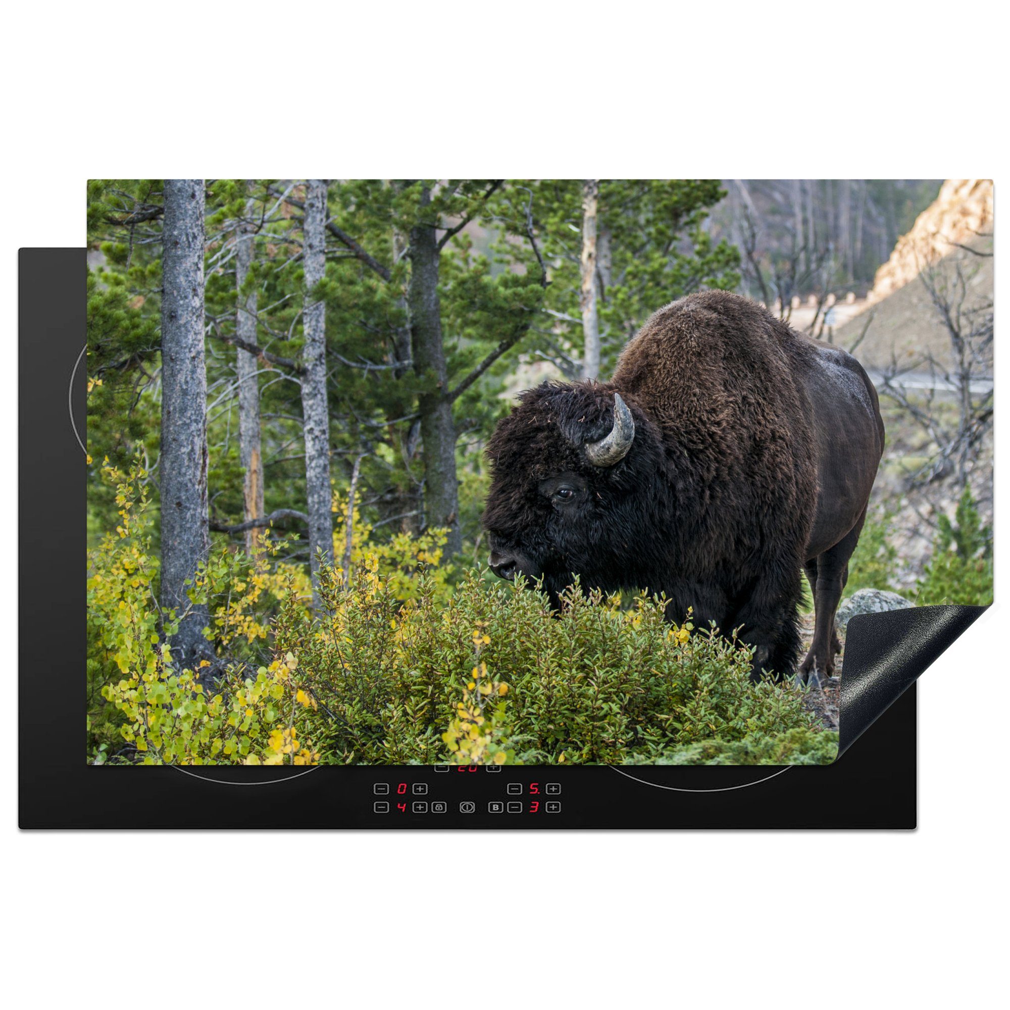MuchoWow Herdblende-/Abdeckplatte Bisons im Park von Wyoming, Vinyl, (1 tlg), 81x52 cm, Induktionskochfeld Schutz für die küche, Ceranfeldabdeckung