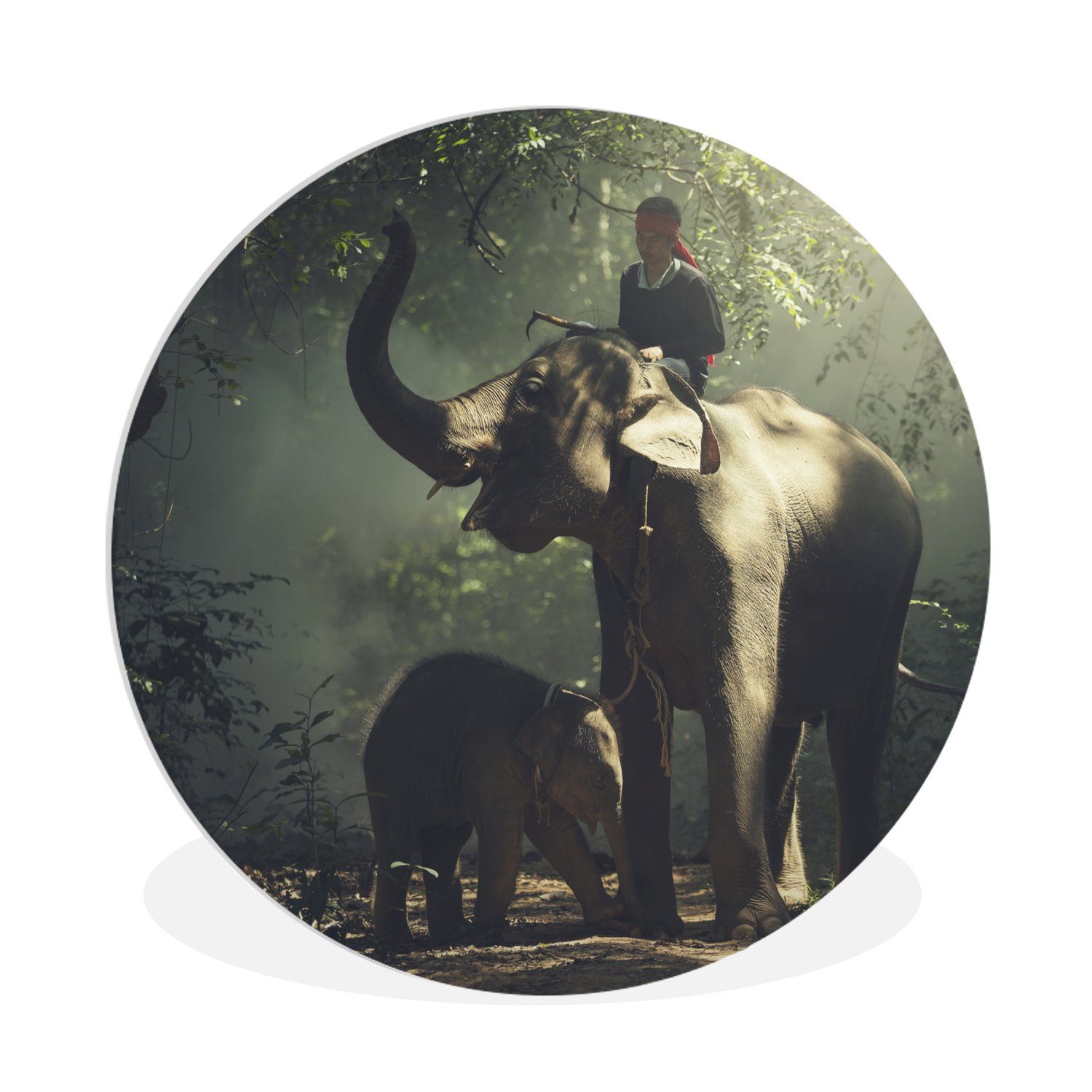 MuchoWow Gemälde Elefant - Wald - Bäume - Tiere - Trainer, (1 St), Kreis Wanddekoration Forex, Rundes Wandbild, Wohnzimmer, 30x30 cm