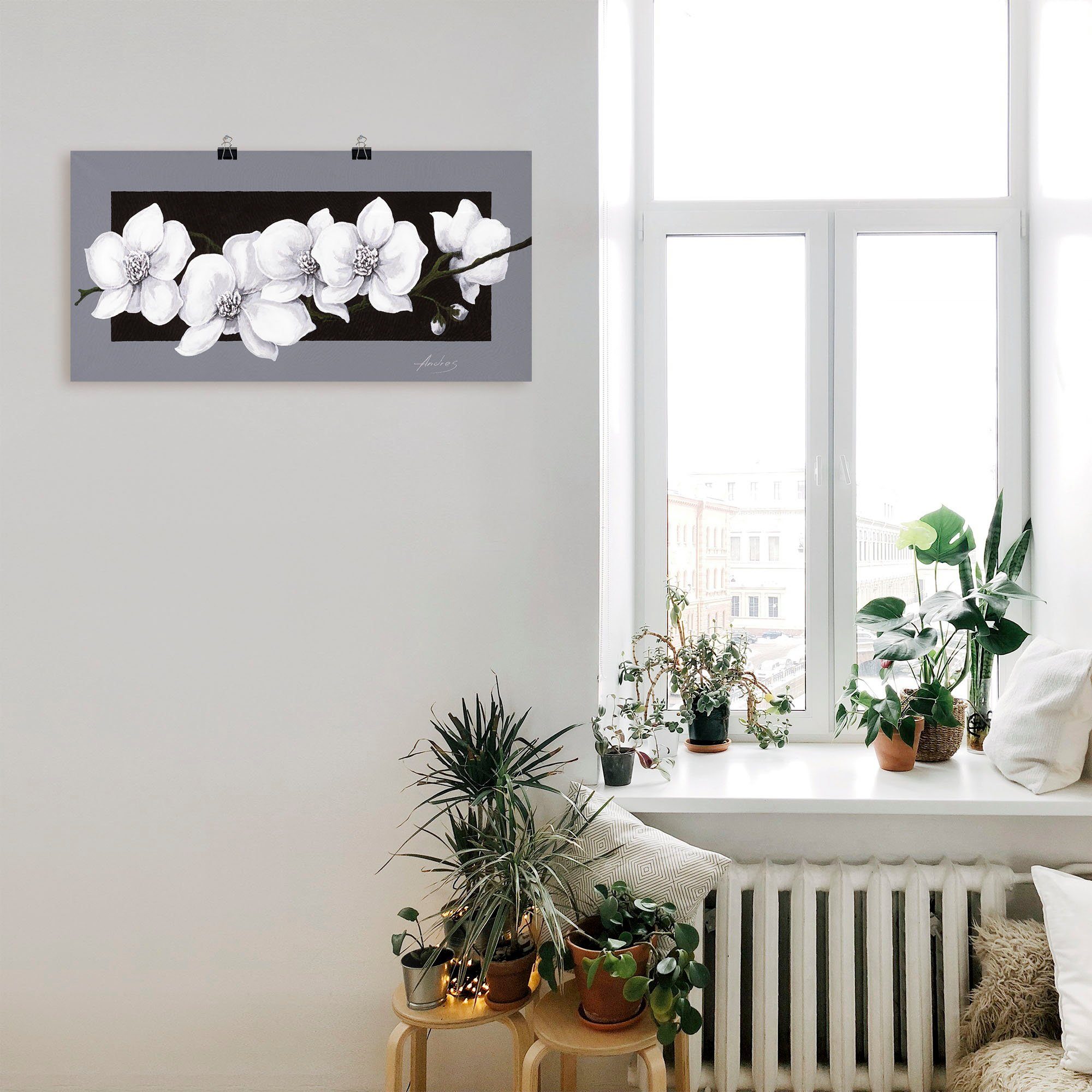 Artland Wandbild Weiße Orchideen auf grau, Blumen (1 St), als Alubild, Leinwandbild, Poster in verschied. Größen