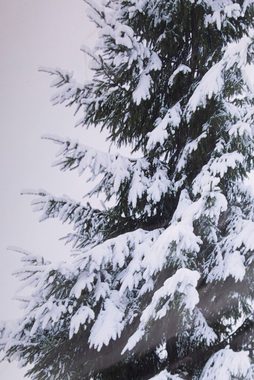Myflair Möbel & Accessoires LED-Bild Wandbehang Tannenbaum, mit LED-Beleuchtung, Weihnachtsdeko, (1 St), LED-Leinwand zum Aufhängen, Höhe ca. 92 cm, Batteriebetrieb
