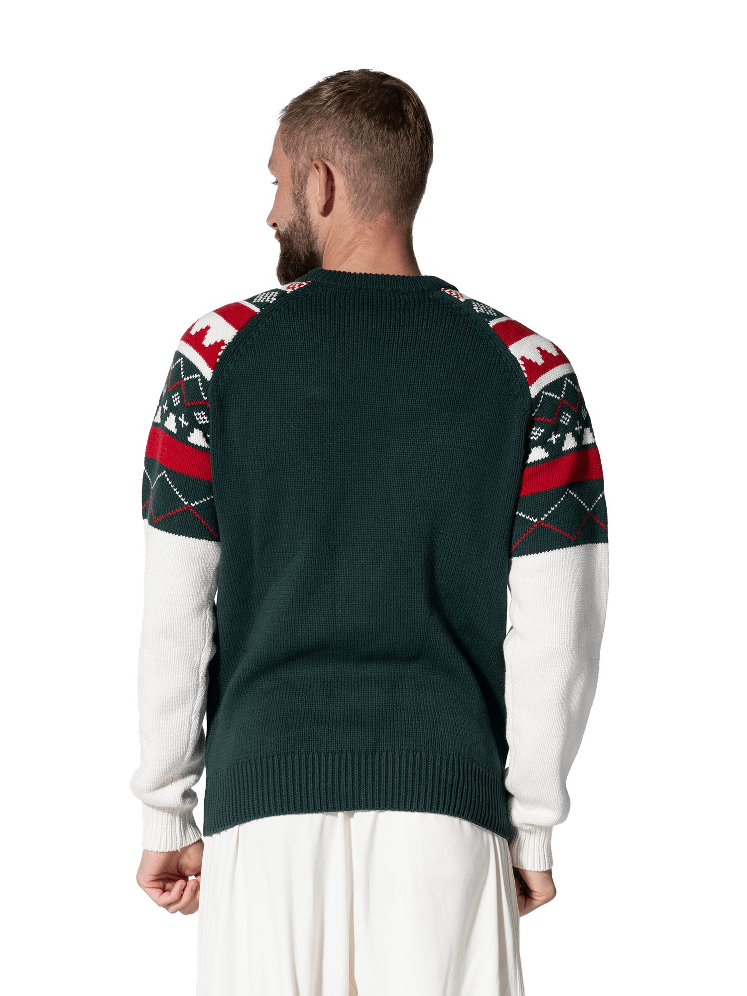 FC Bayern München Polokragenpullover FC Bayern München, Strickpullover Winter, Herren, Grün