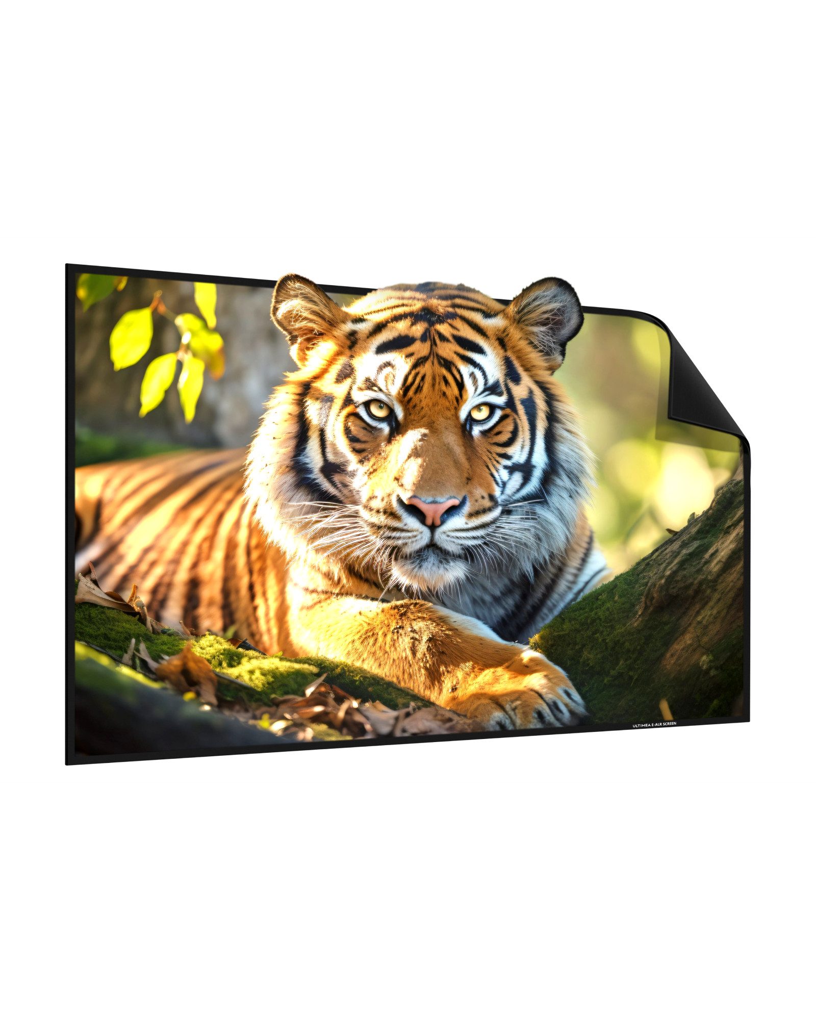 Ultimea E-ALR Проэкторы Leinwand 120 Zoll, 80% ALR Projektionsleinwand Rahmenleinwand (2.0 Gain-Wert, 4k HD Faltbar Filmleinwand, Heimkino Wand Leinwand)