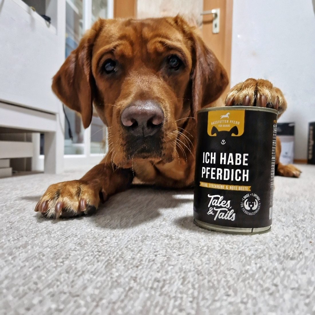 Tales & Tails Ich habe PFERDich, für: Hunde, Getreidefrei